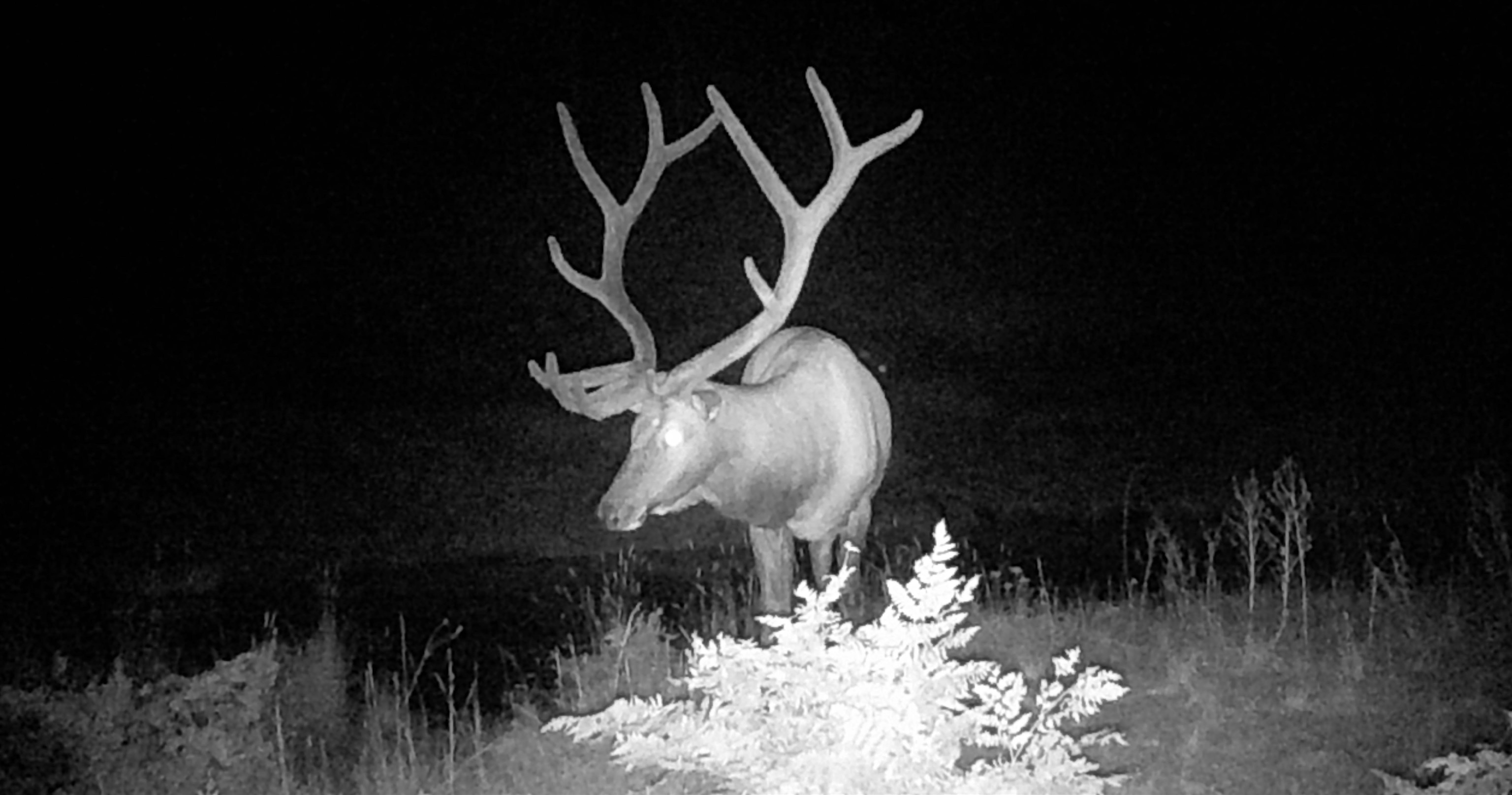 Tbd Ms Road Property Photo 15