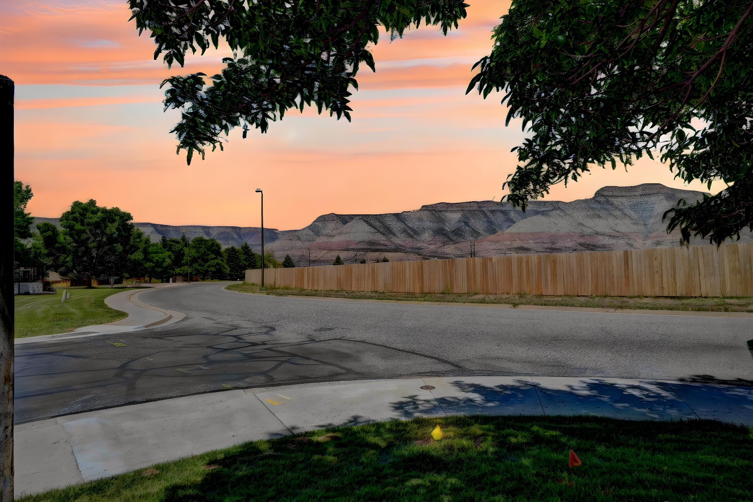 299 Limberpine Circle Property Photo 4