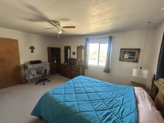 53369 Highway 330 Property Photo 20