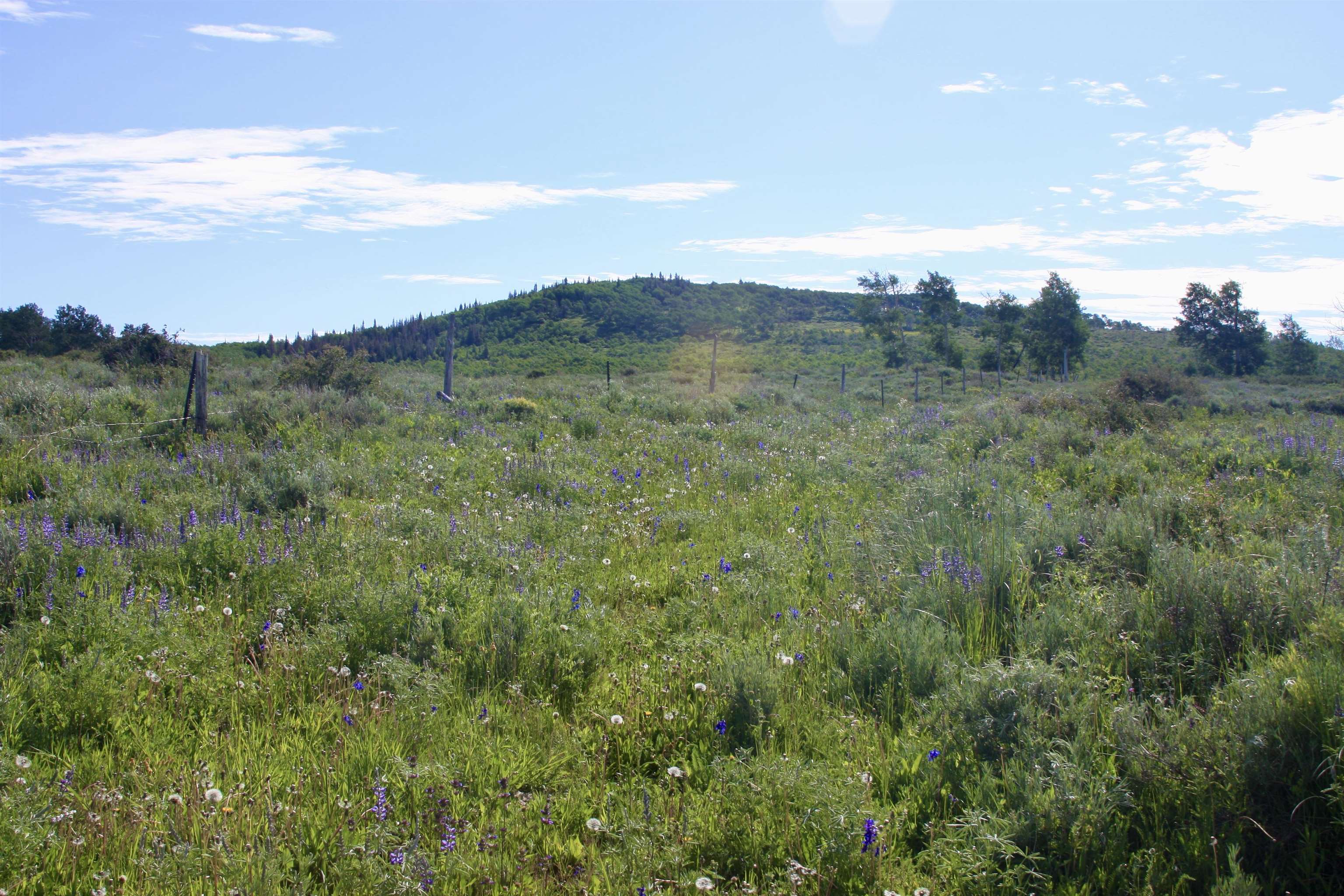 12951 Ms Road Property Photo 3