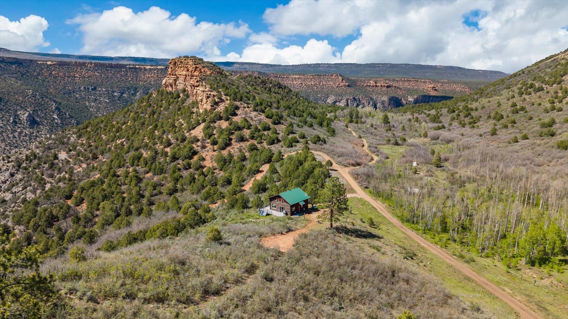7515 Uncompahgre Divide Road Property Photo 29