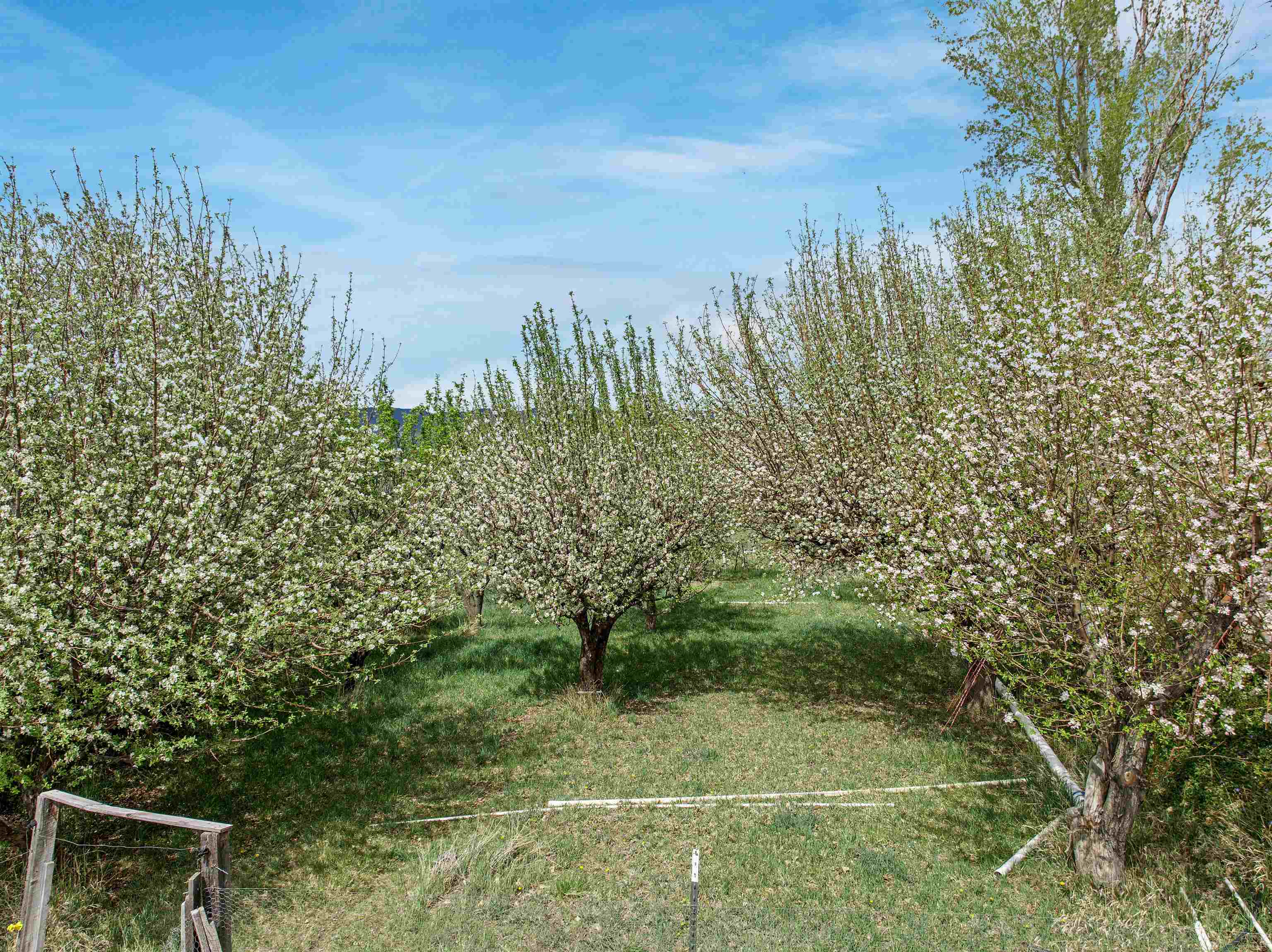 9709 3605 Road Property Photo 4