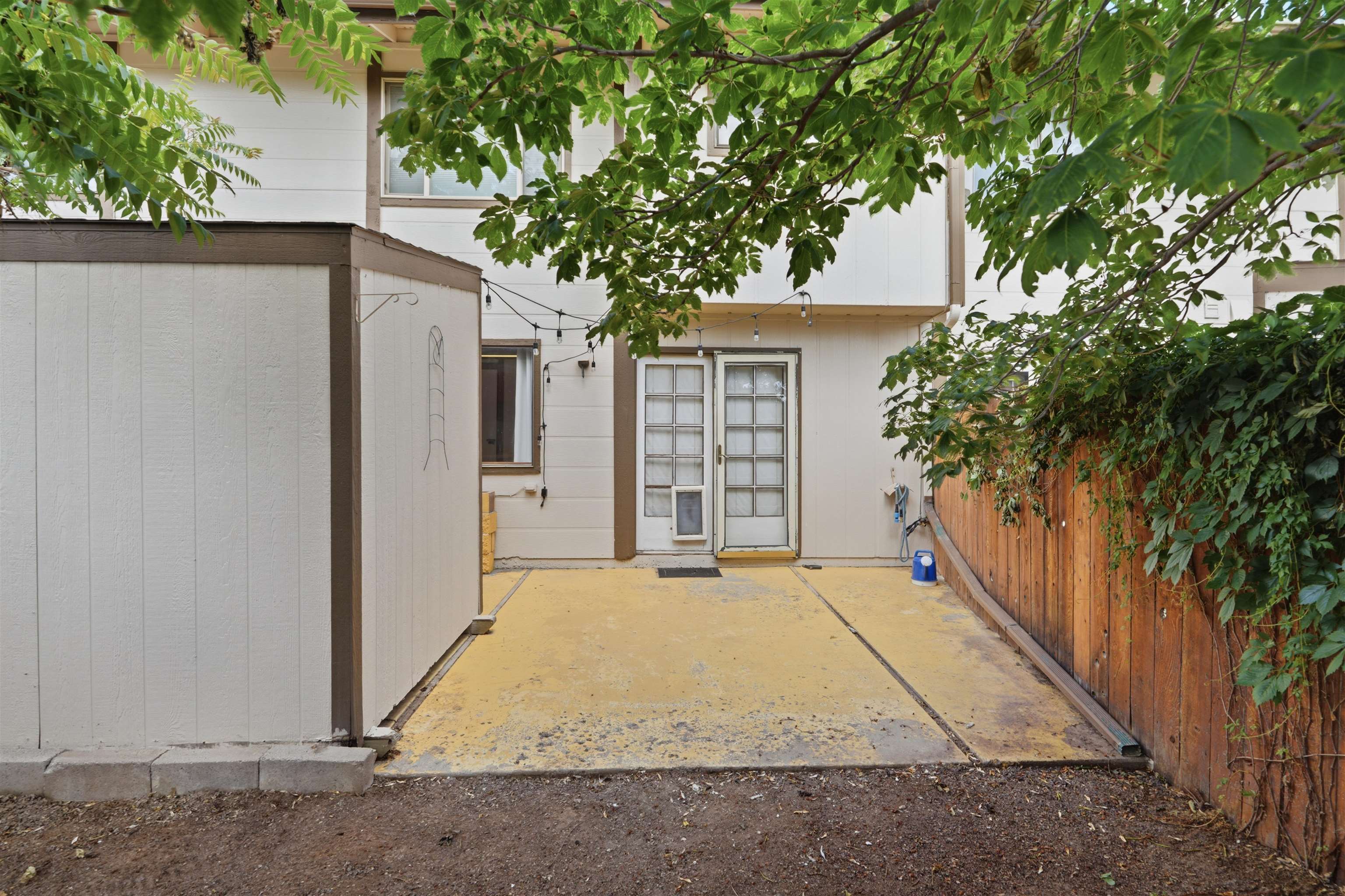 555 28 1/2 Road Property Photo 20