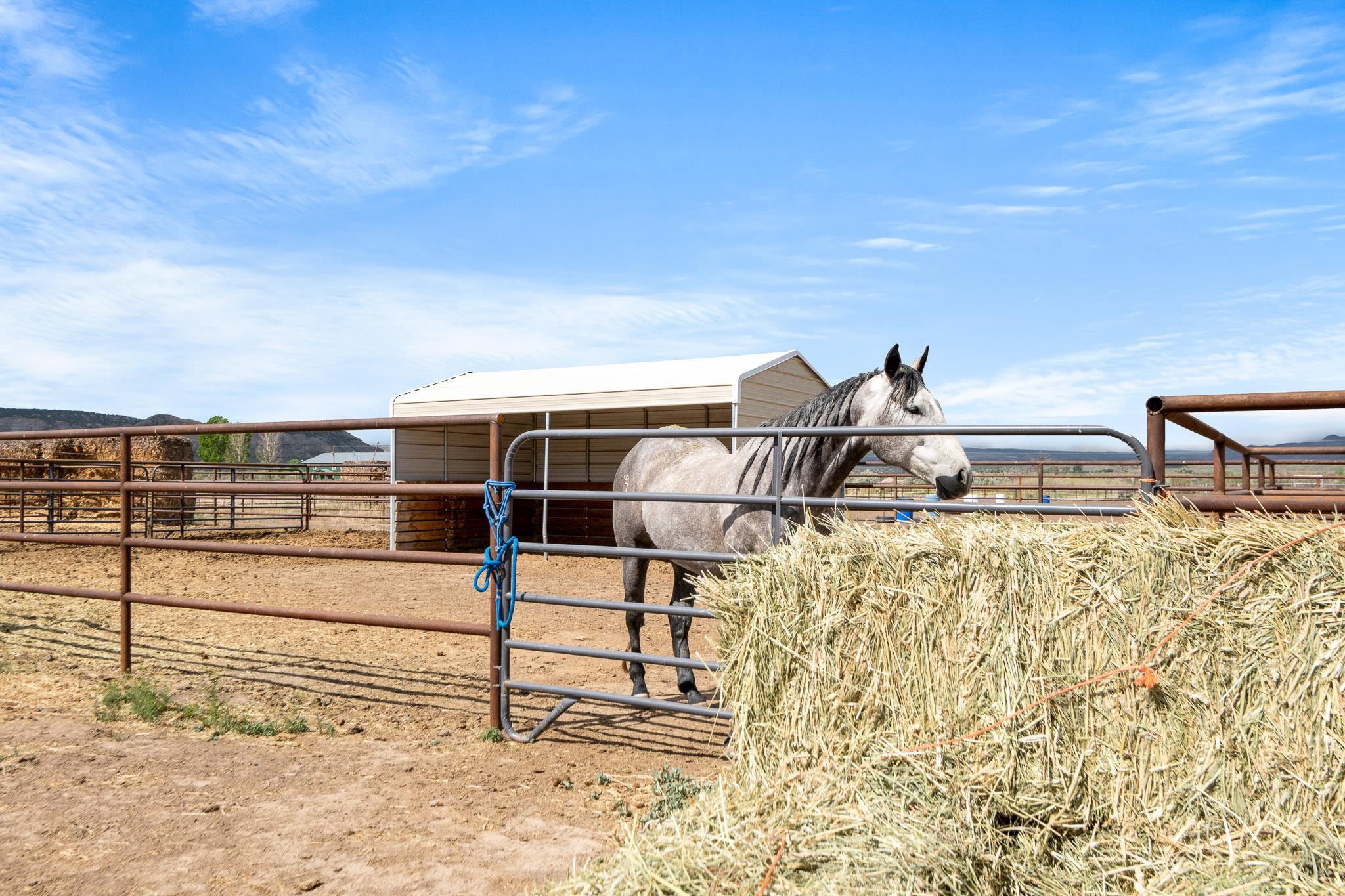 2022 45 Road Property Photo 17