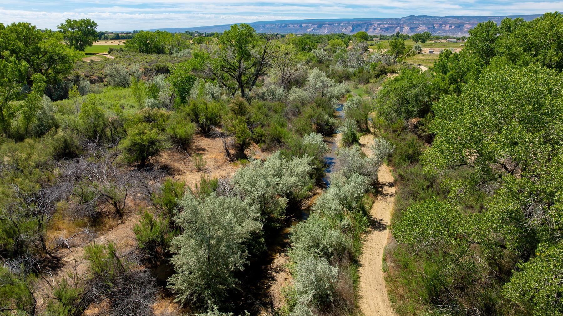 1726 O Road Property Photo 13