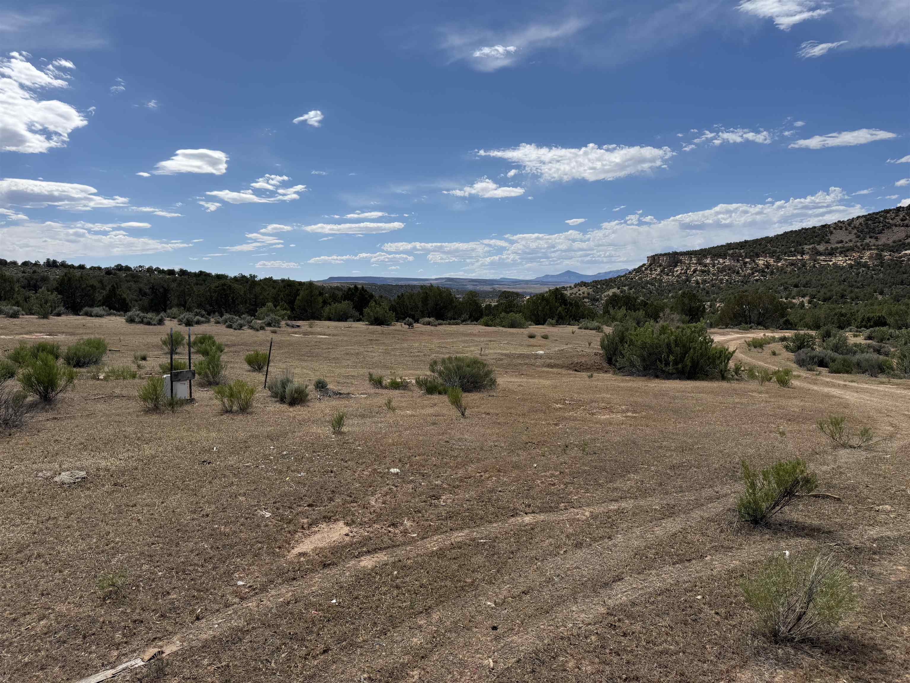 4530 Horse Canyon Road Property Photo 7