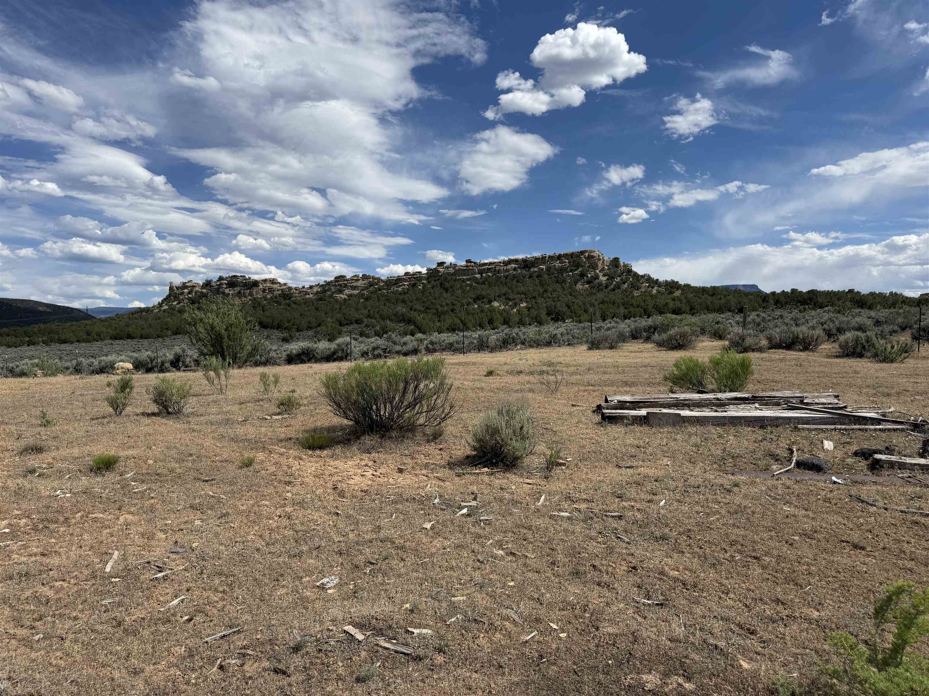 4530 Horse Canyon Road Property Photo 9