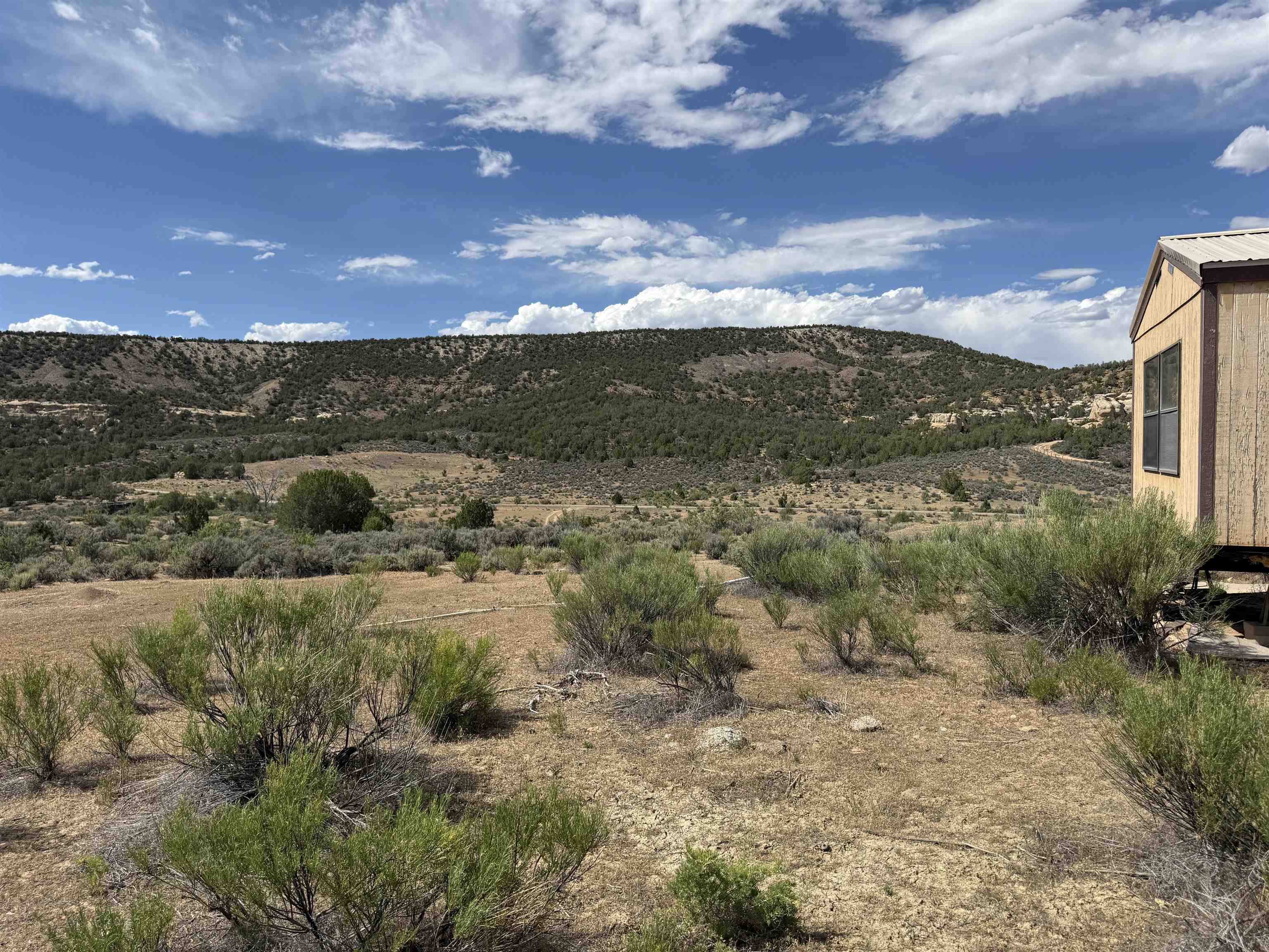 4530 Horse Canyon Road Property Photo 11