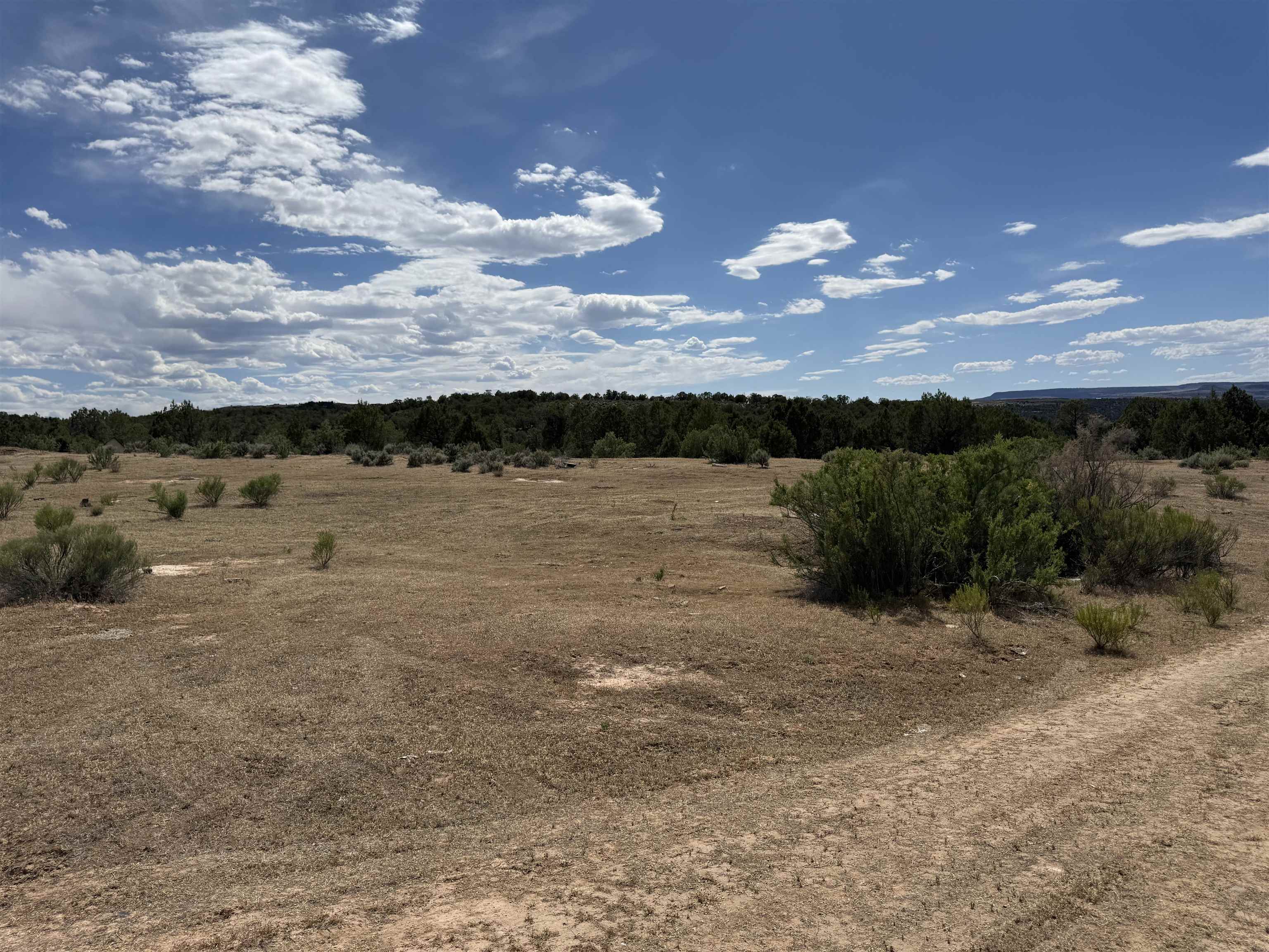 4530 Horse Canyon Road Property Photo 12