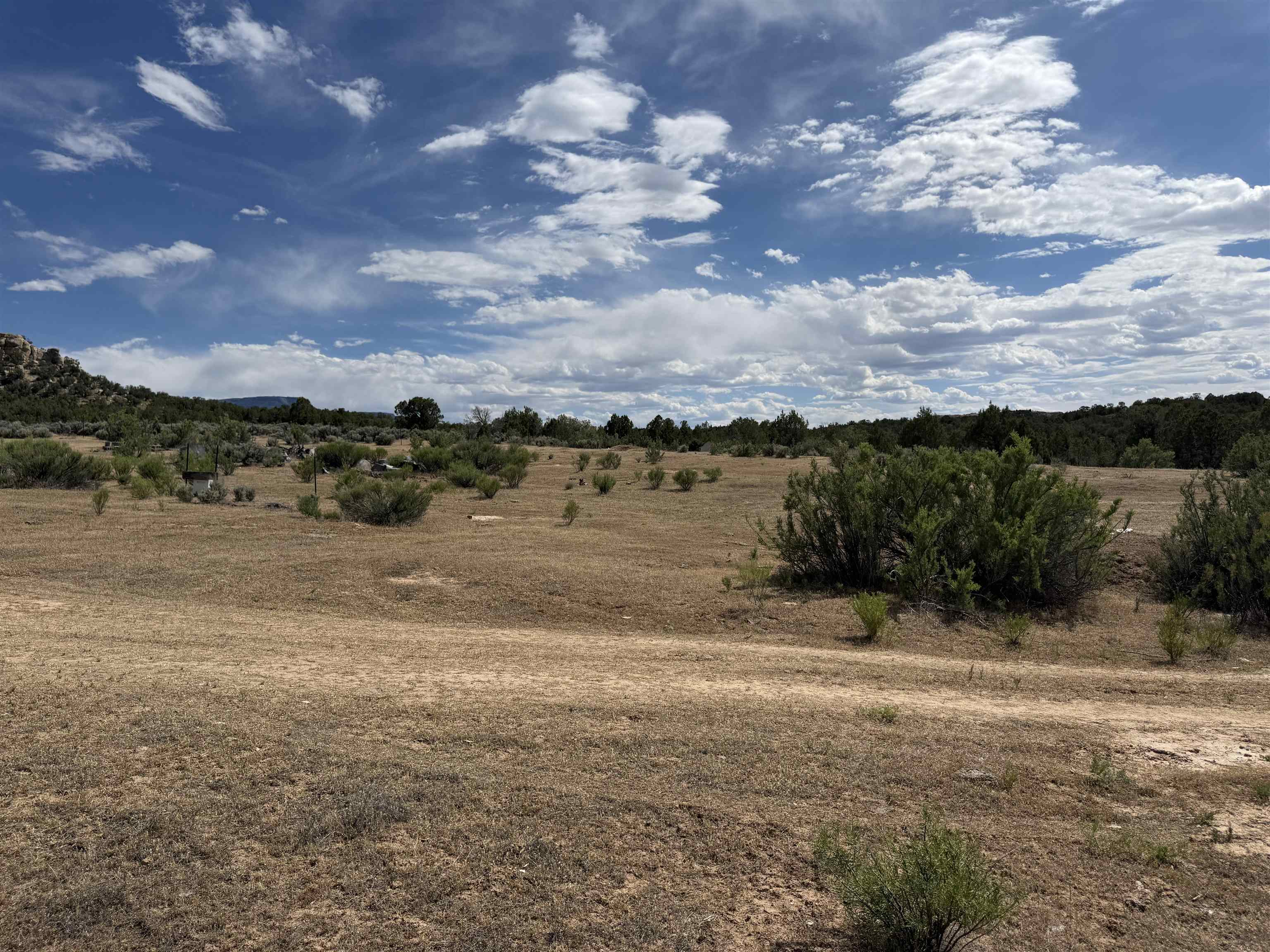 4530 Horse Canyon Road Property Photo 14