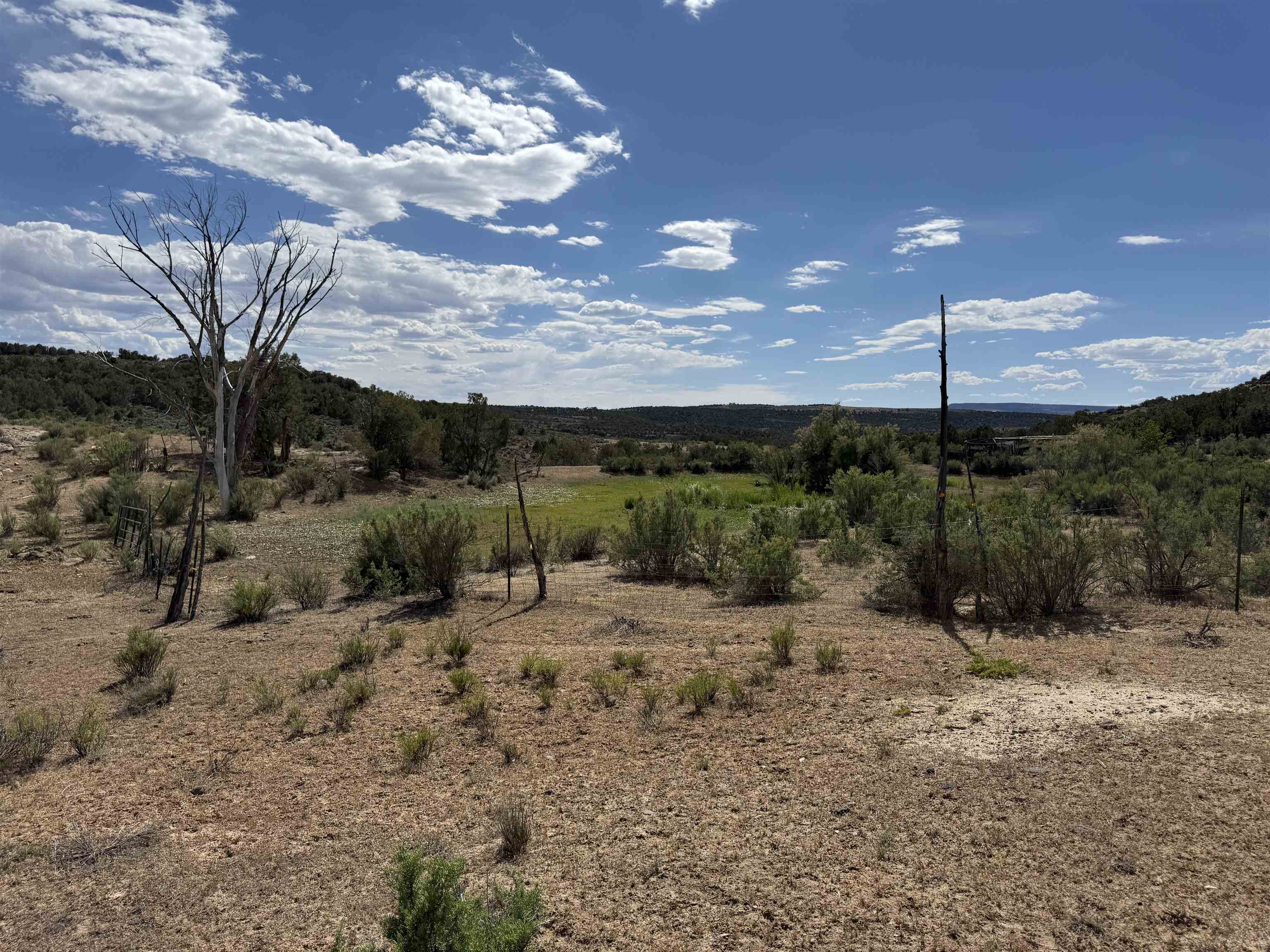 4530 Horse Canyon Road Property Photo 17