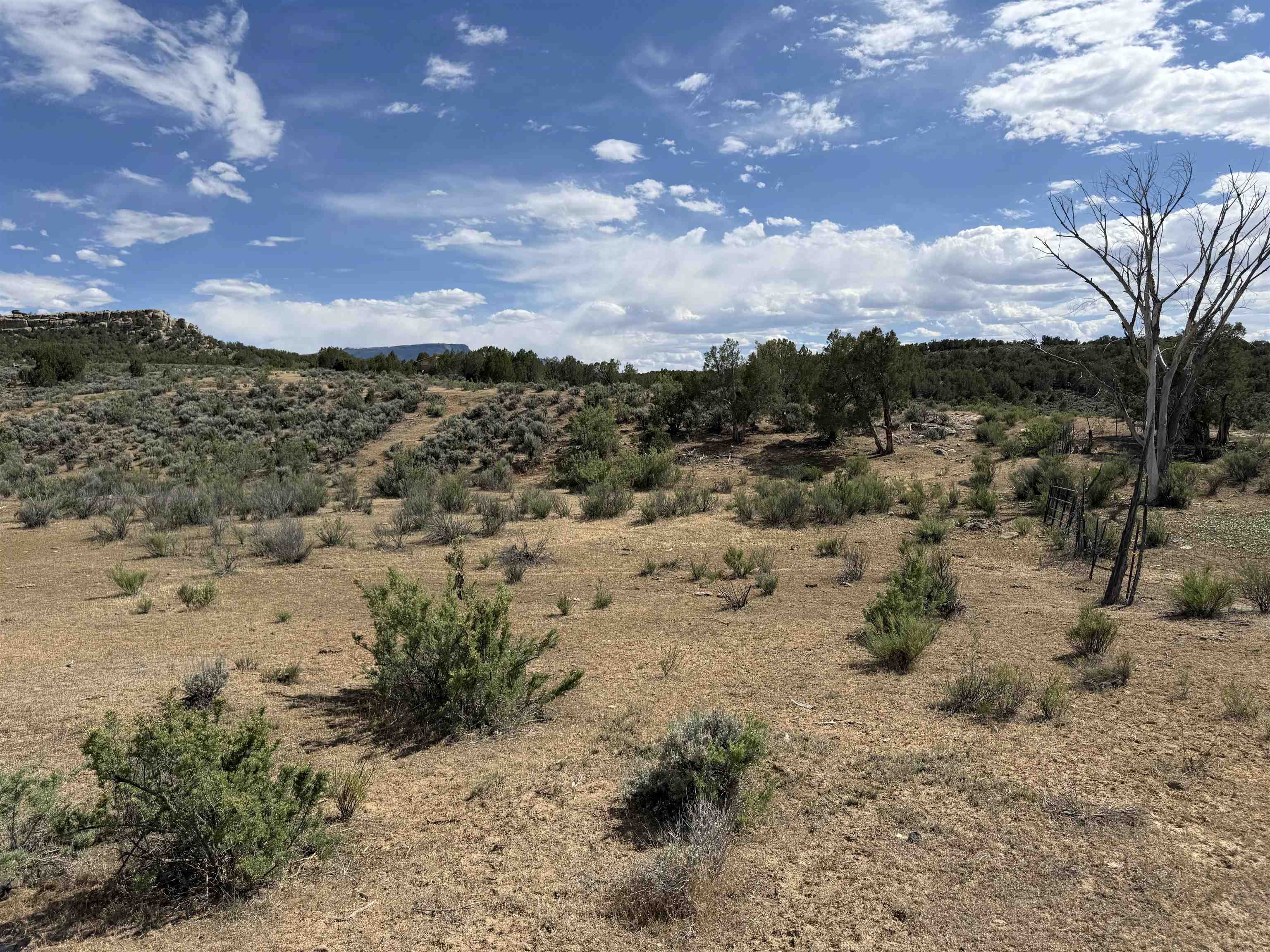 4530 Horse Canyon Road Property Photo 18