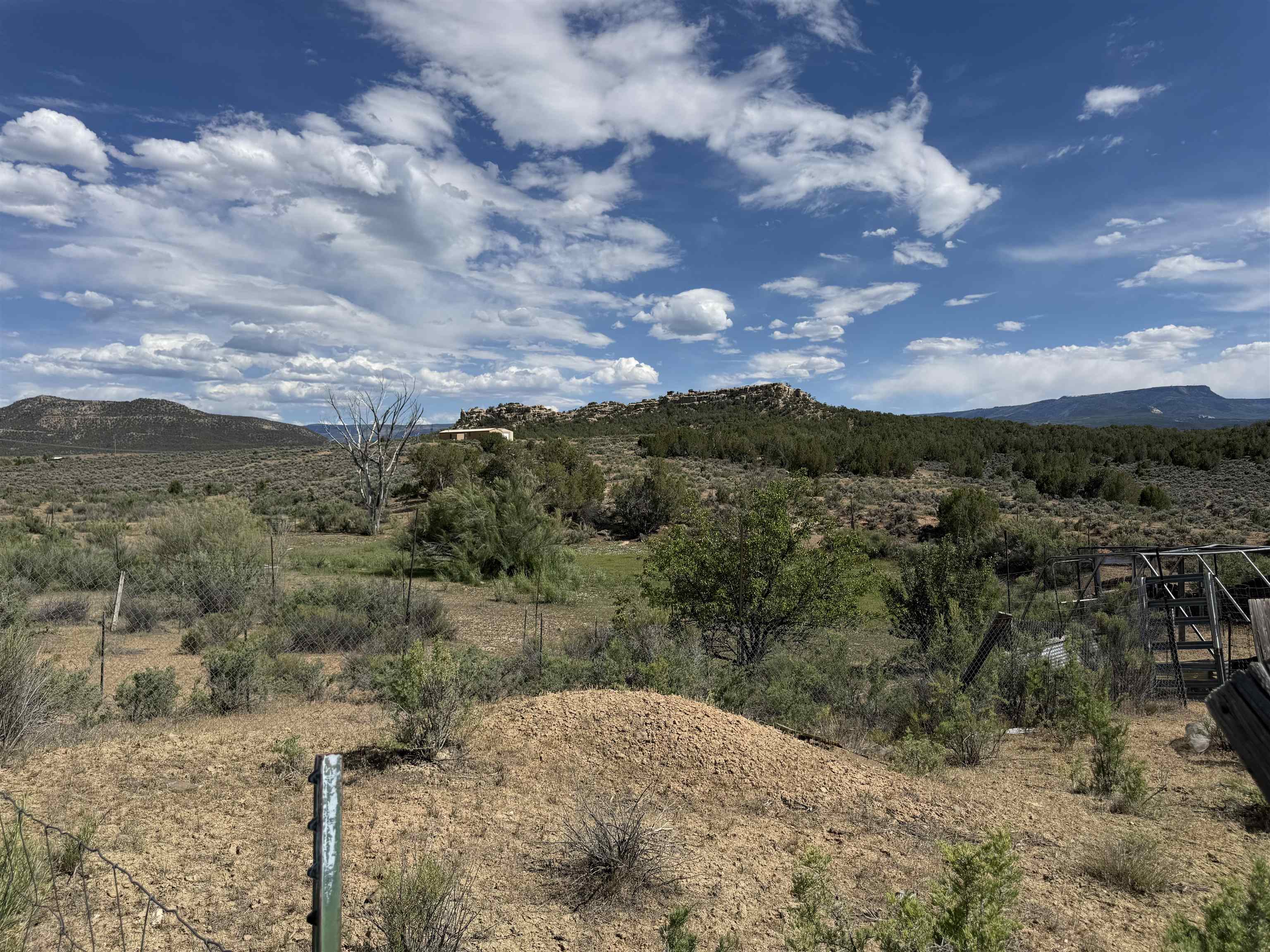 4530 Horse Canyon Road Property Photo 20