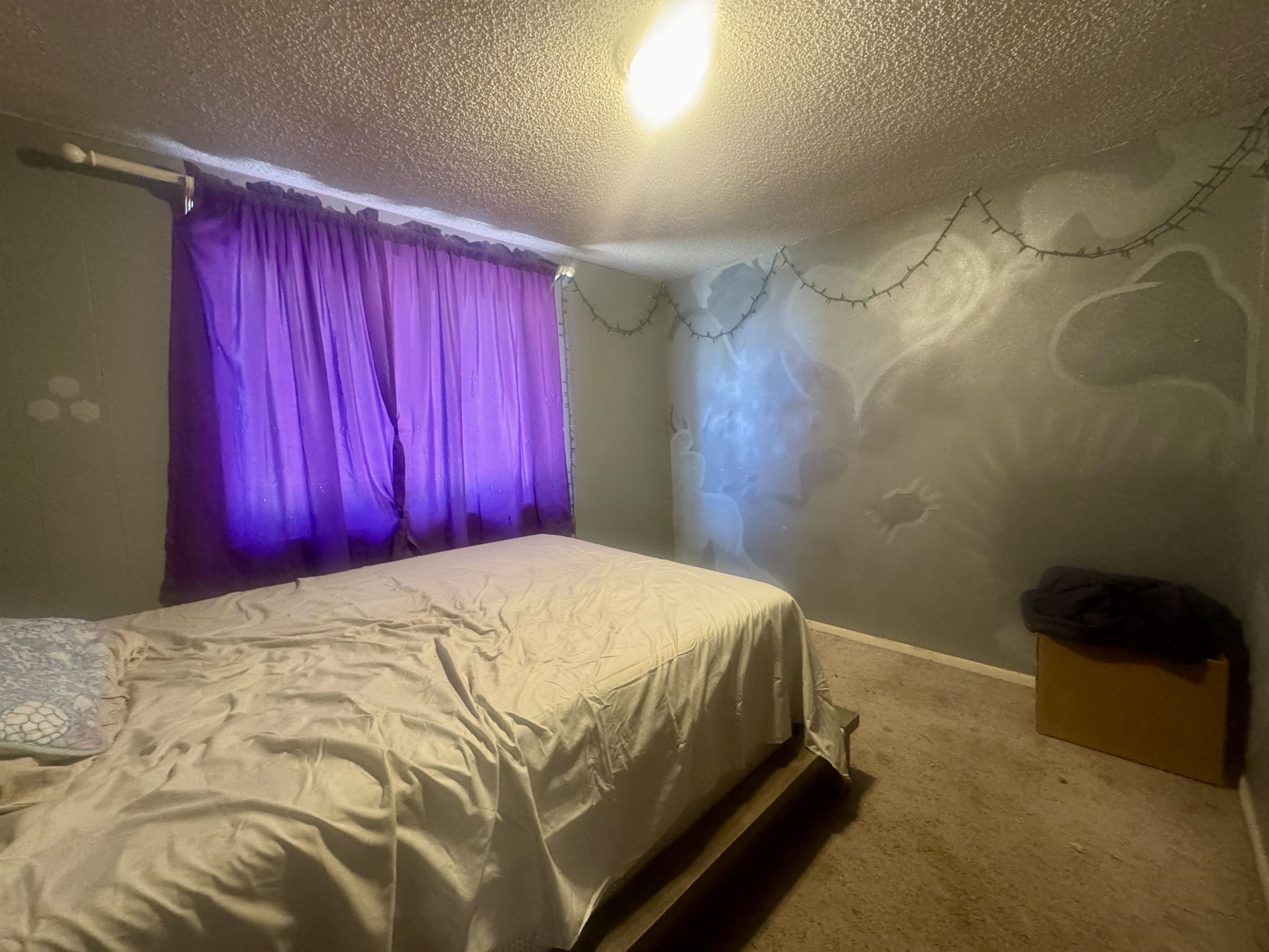 2999 D 1/4 Road Property Photo 7