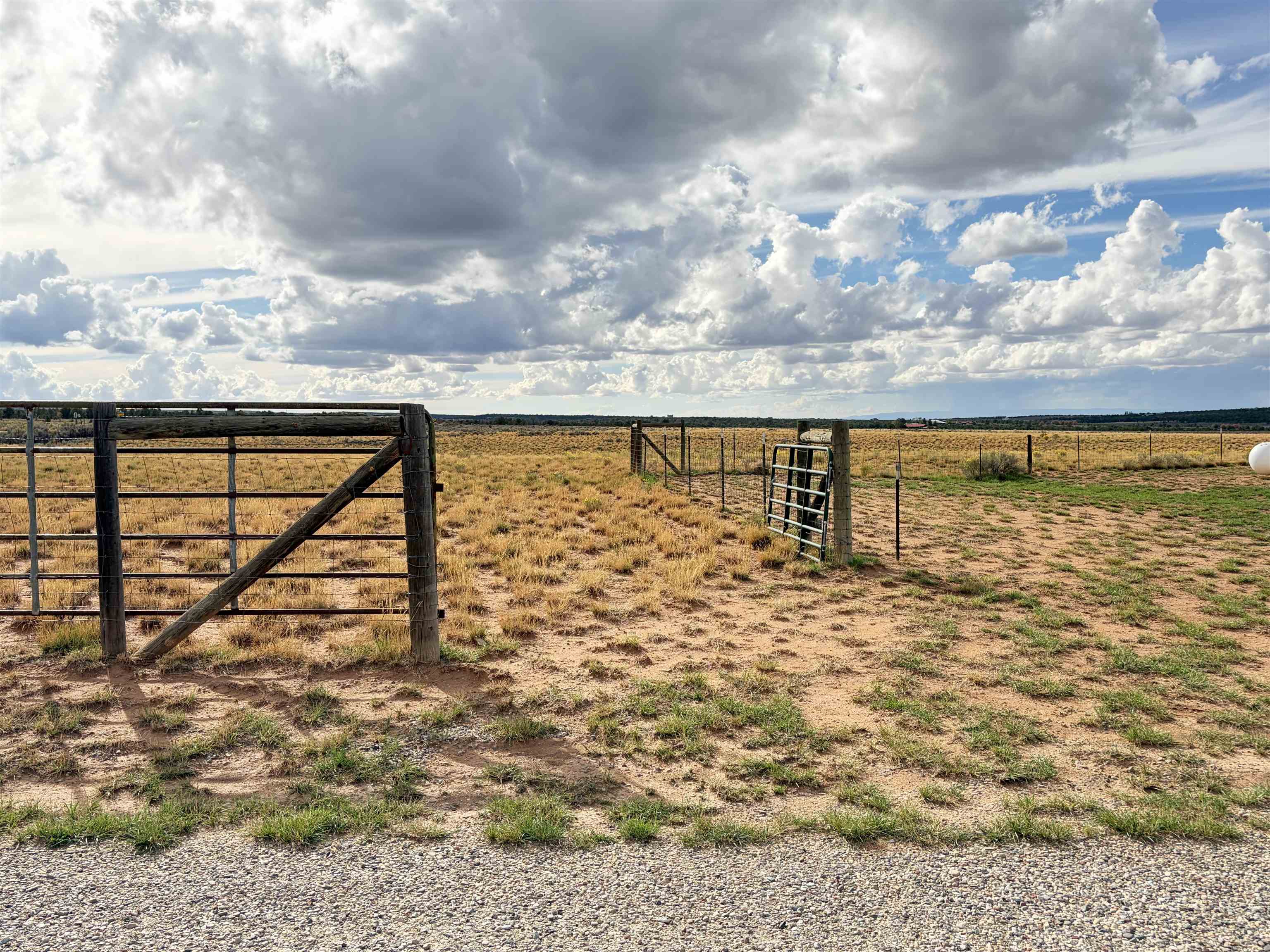 15620 Ds Road Property Photo 40