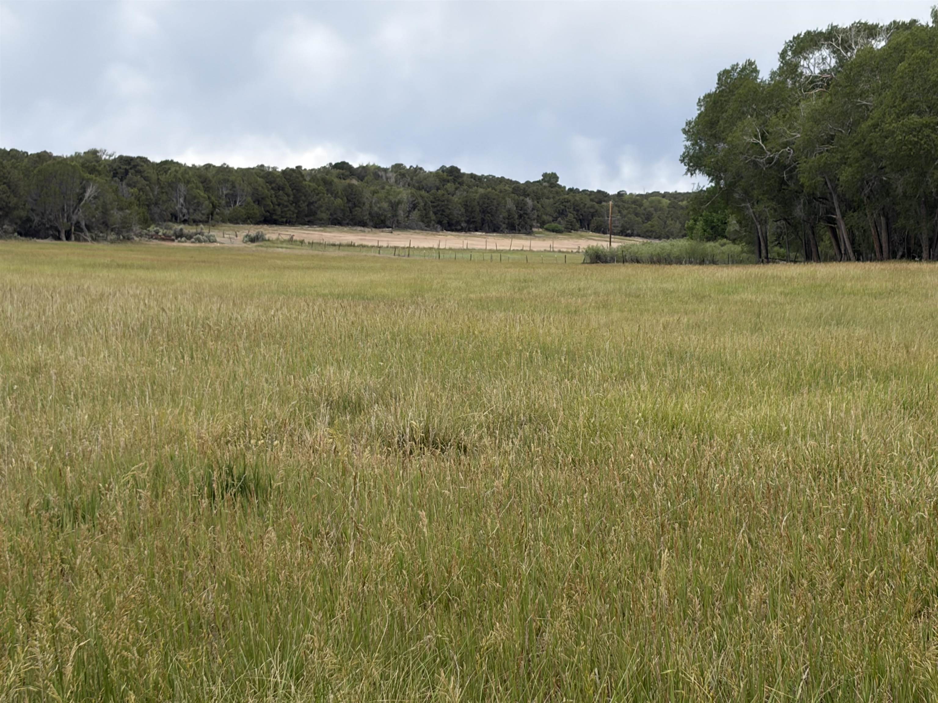 Tbd Cactus Park Road Property Photo 1