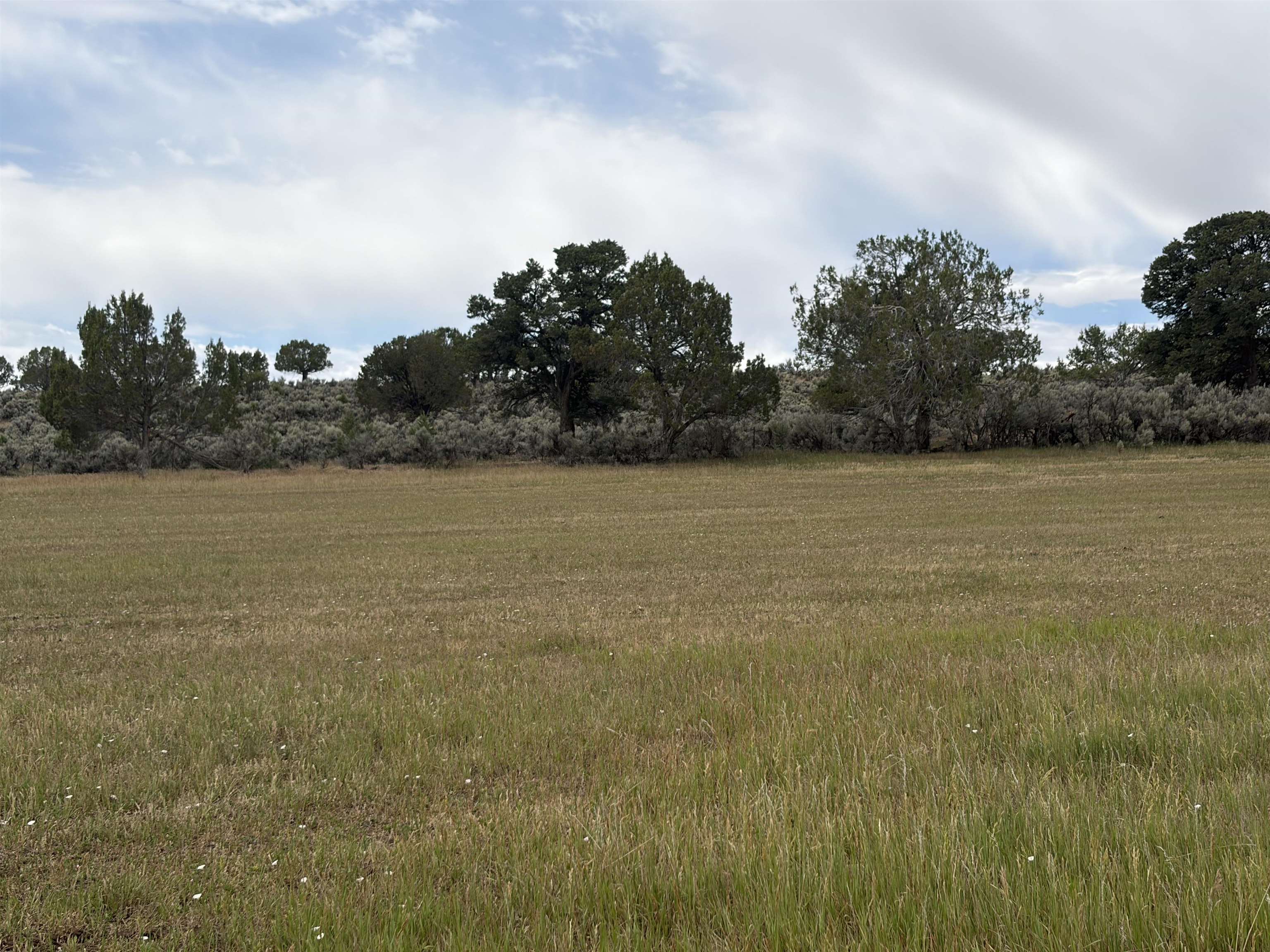 Tbd Cactus Park Road Property Photo 2