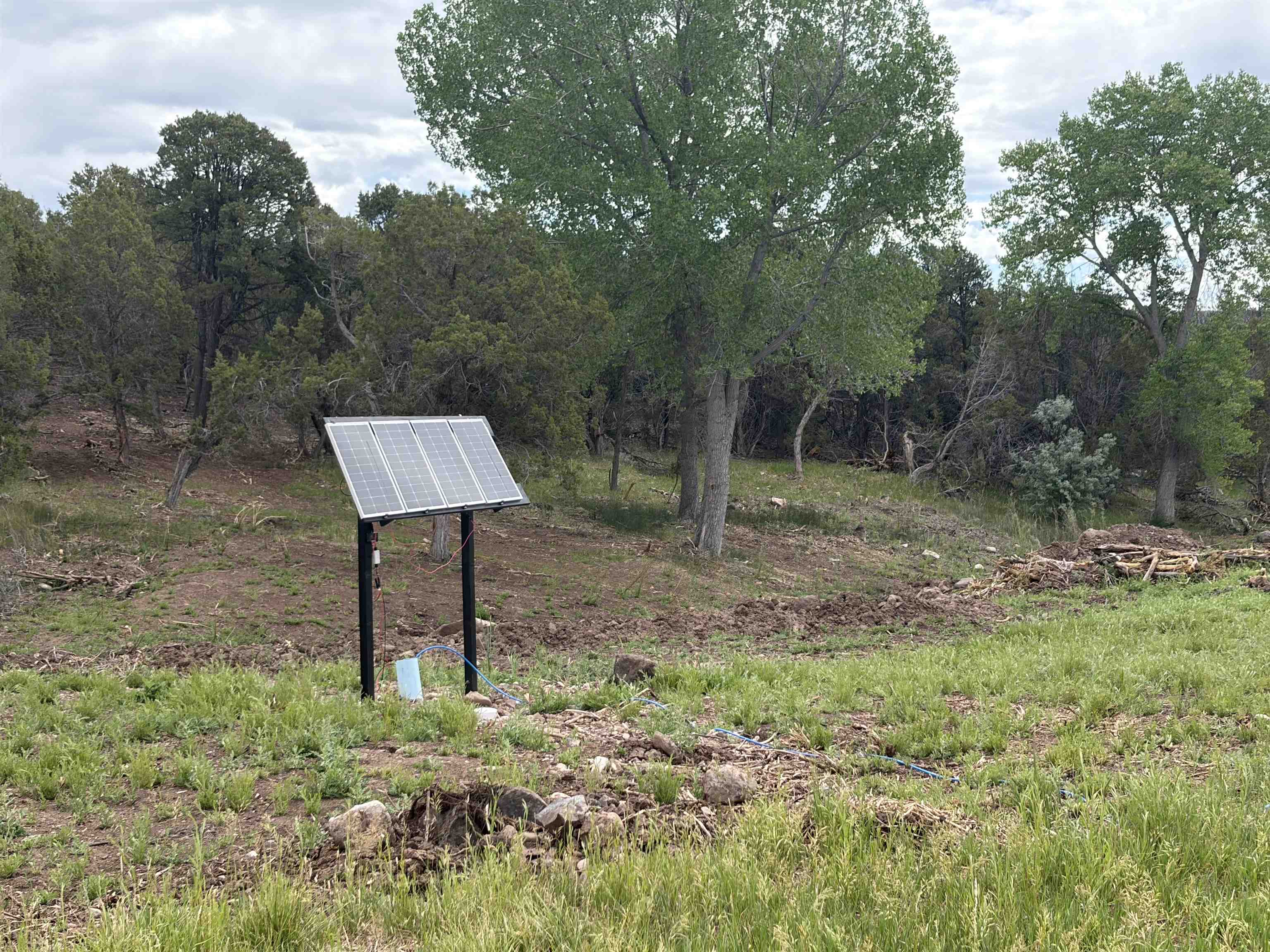 Tbd Cactus Park Road Property Photo 3
