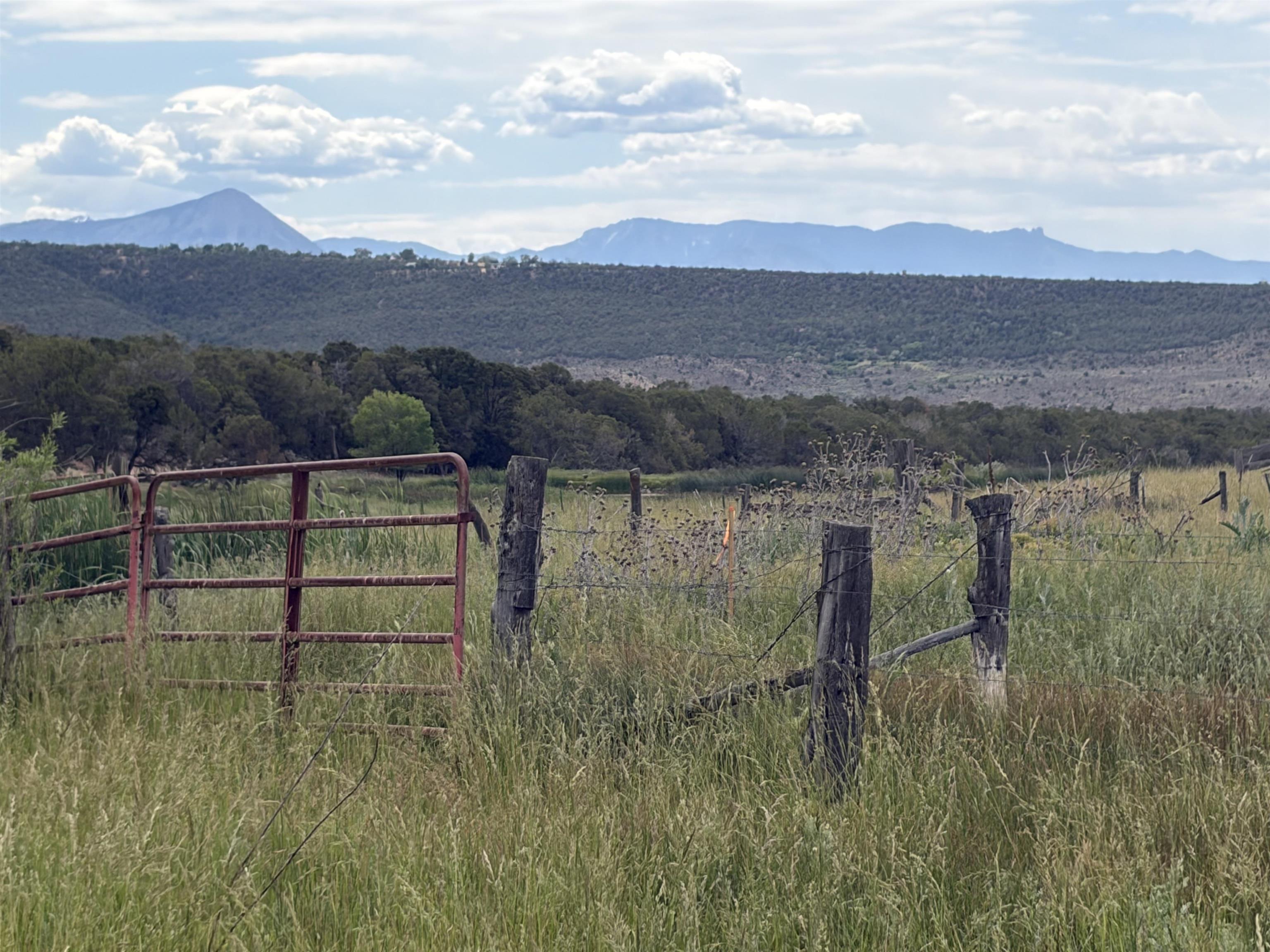 Tbd Cactus Park Road Property Photo 8