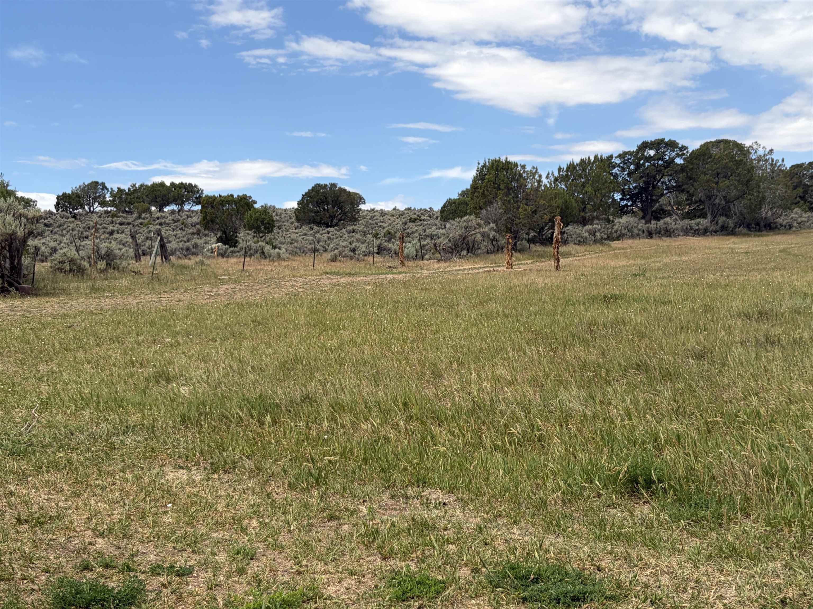 Tbd Cactus Park Road Property Photo 10