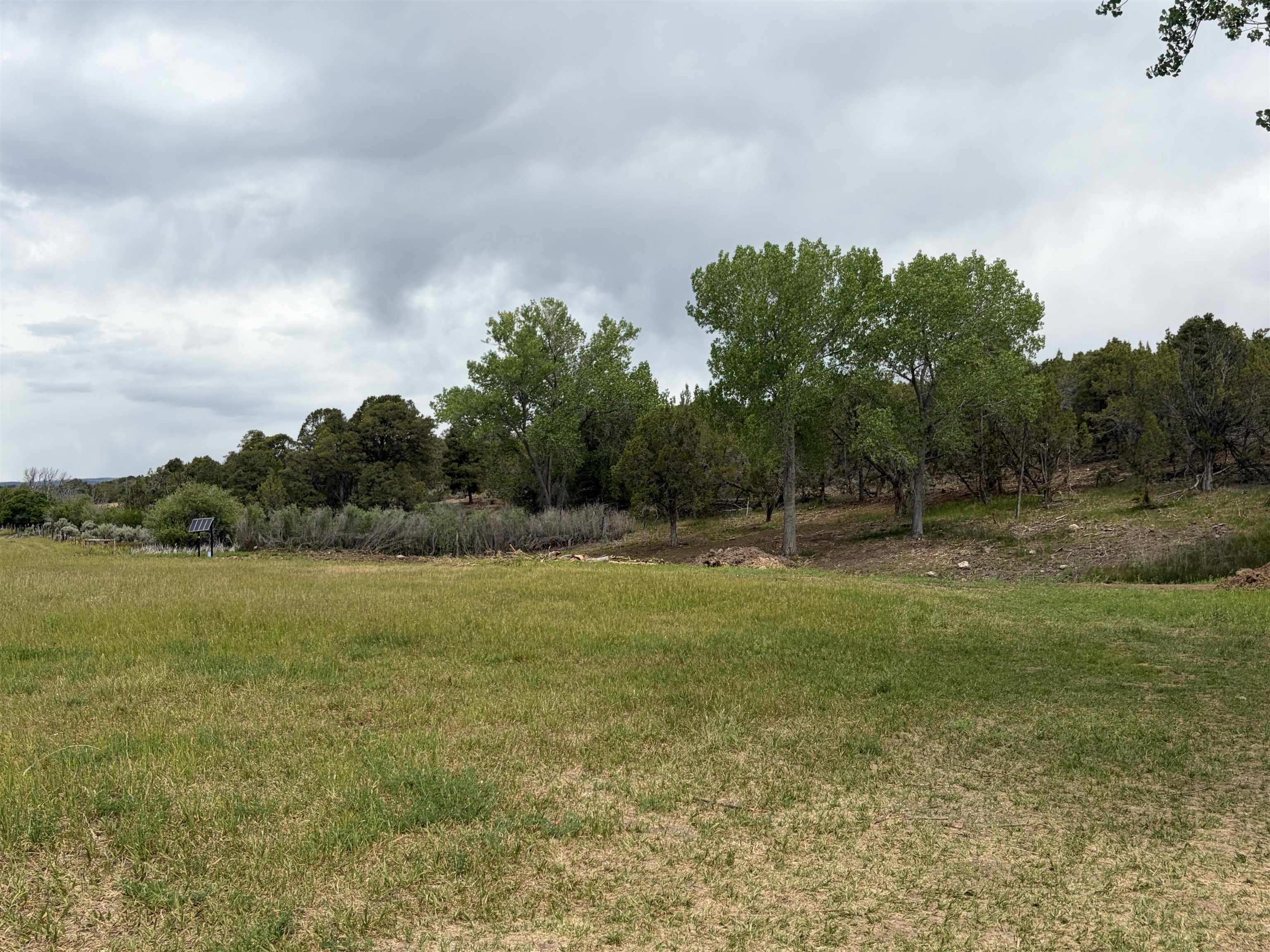 Tbd Cactus Park Road Property Photo 11