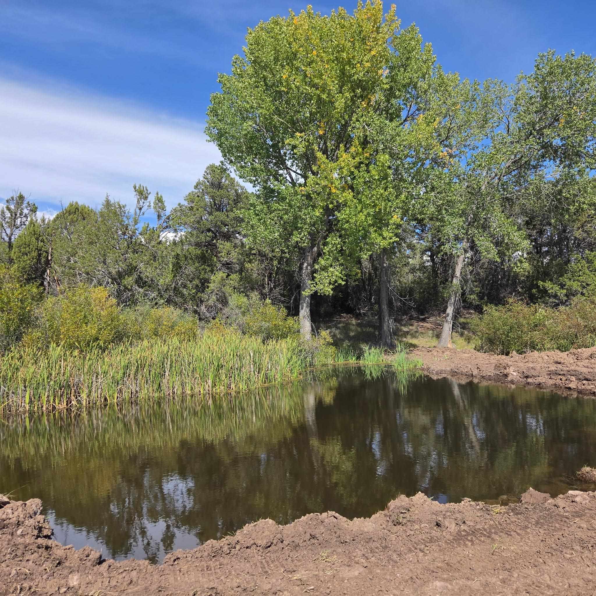 Tbd Cactus Park Road Property Photo 14
