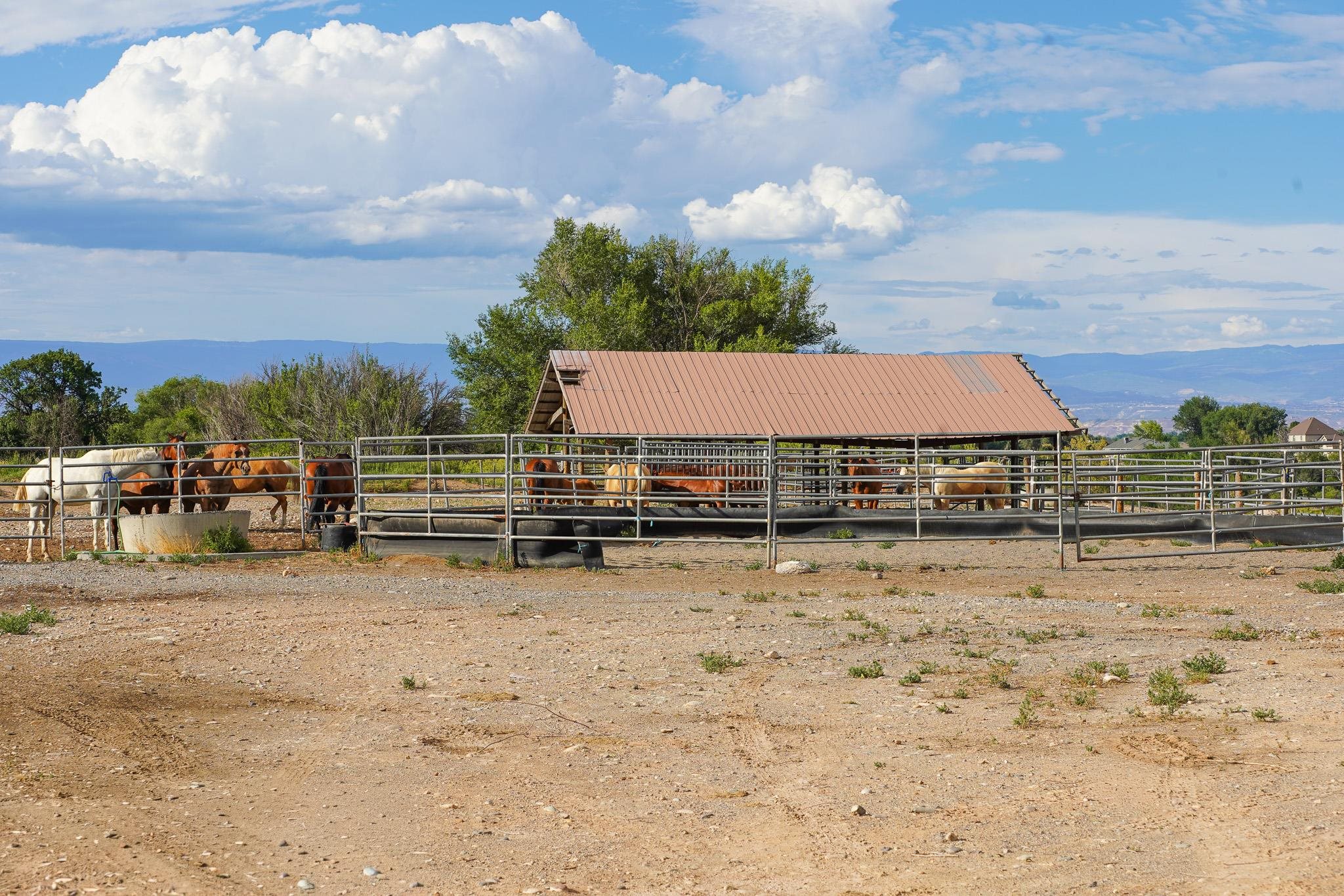 582 1600 Road Property Photo 28