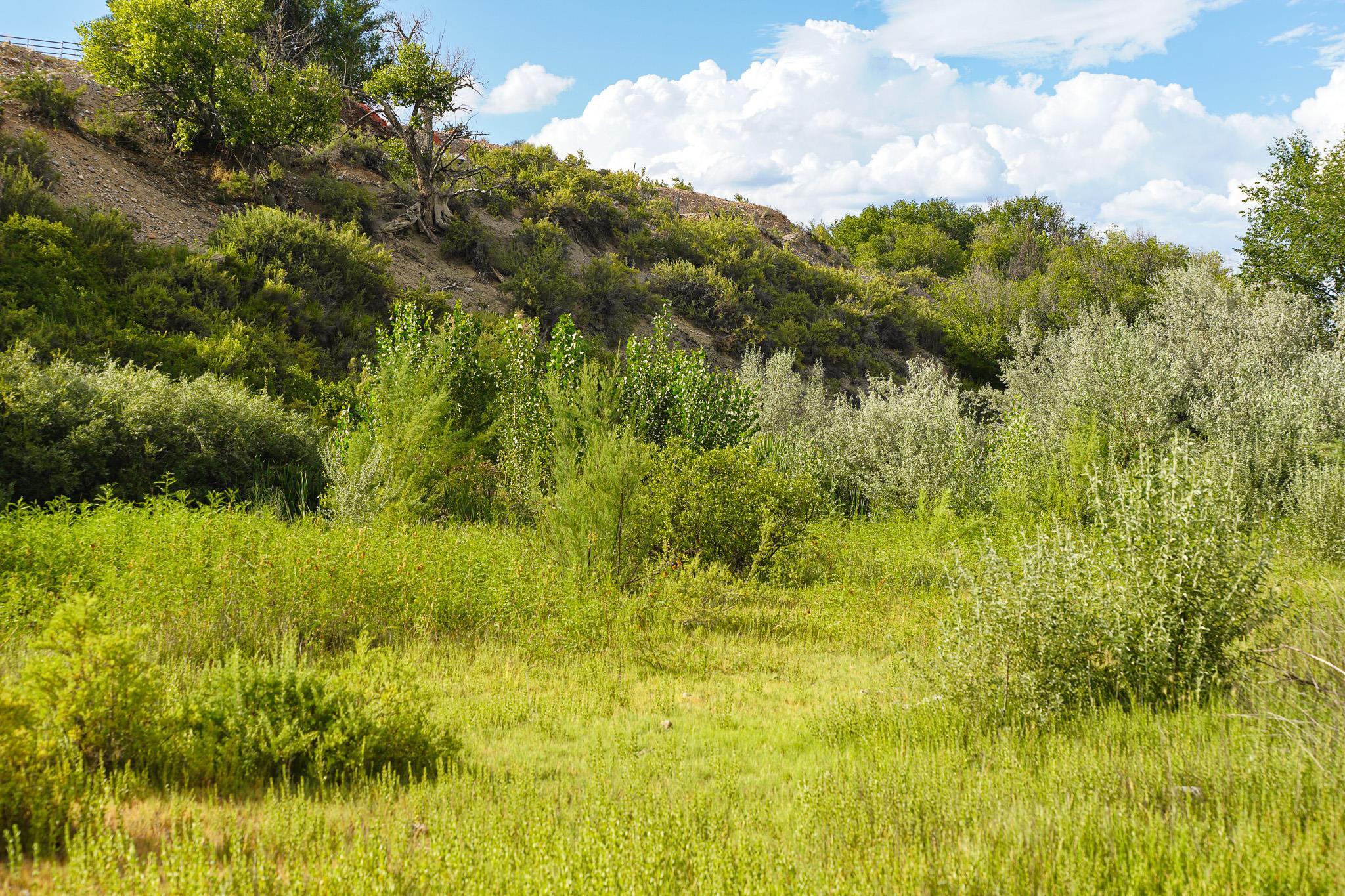 582 1600 Road Property Photo 31