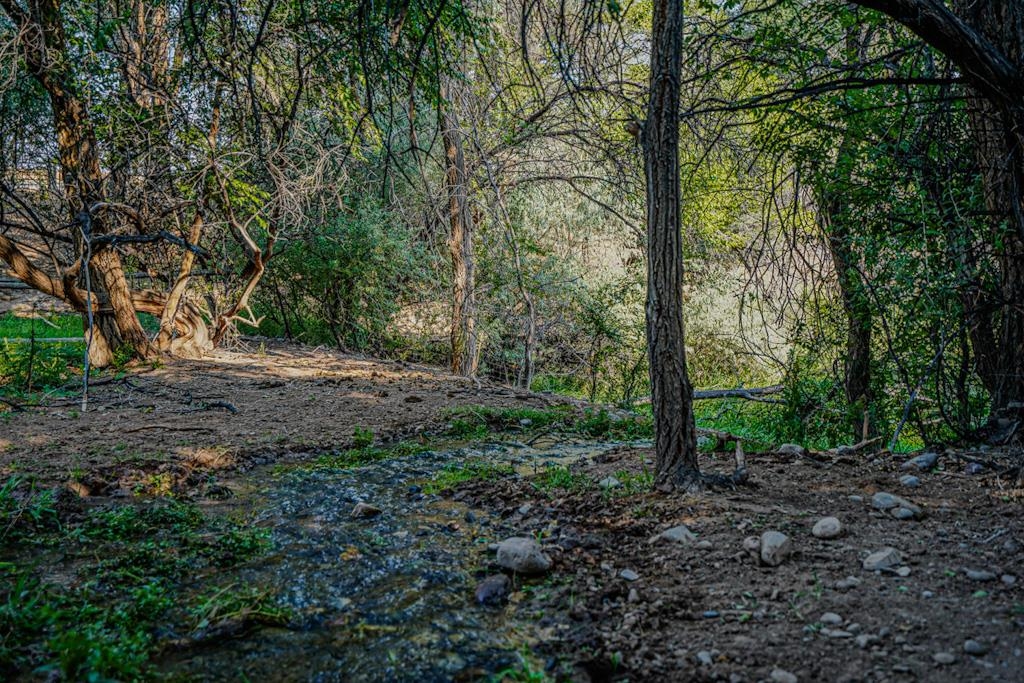 7531 High Mesa Road Property Photo 5