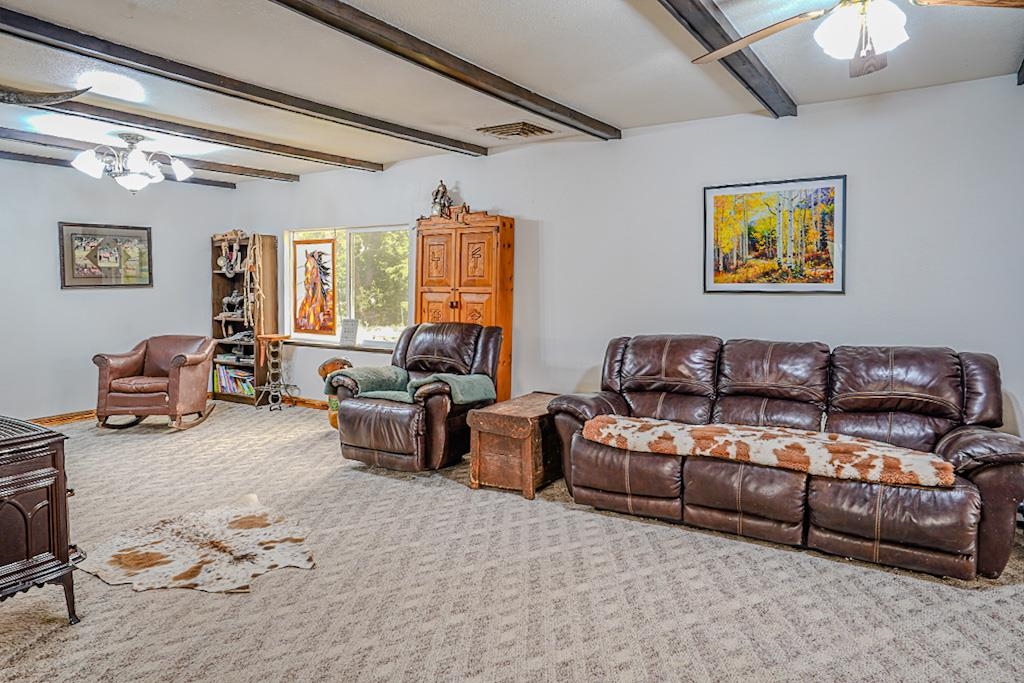 7531 High Mesa Road Property Photo 18