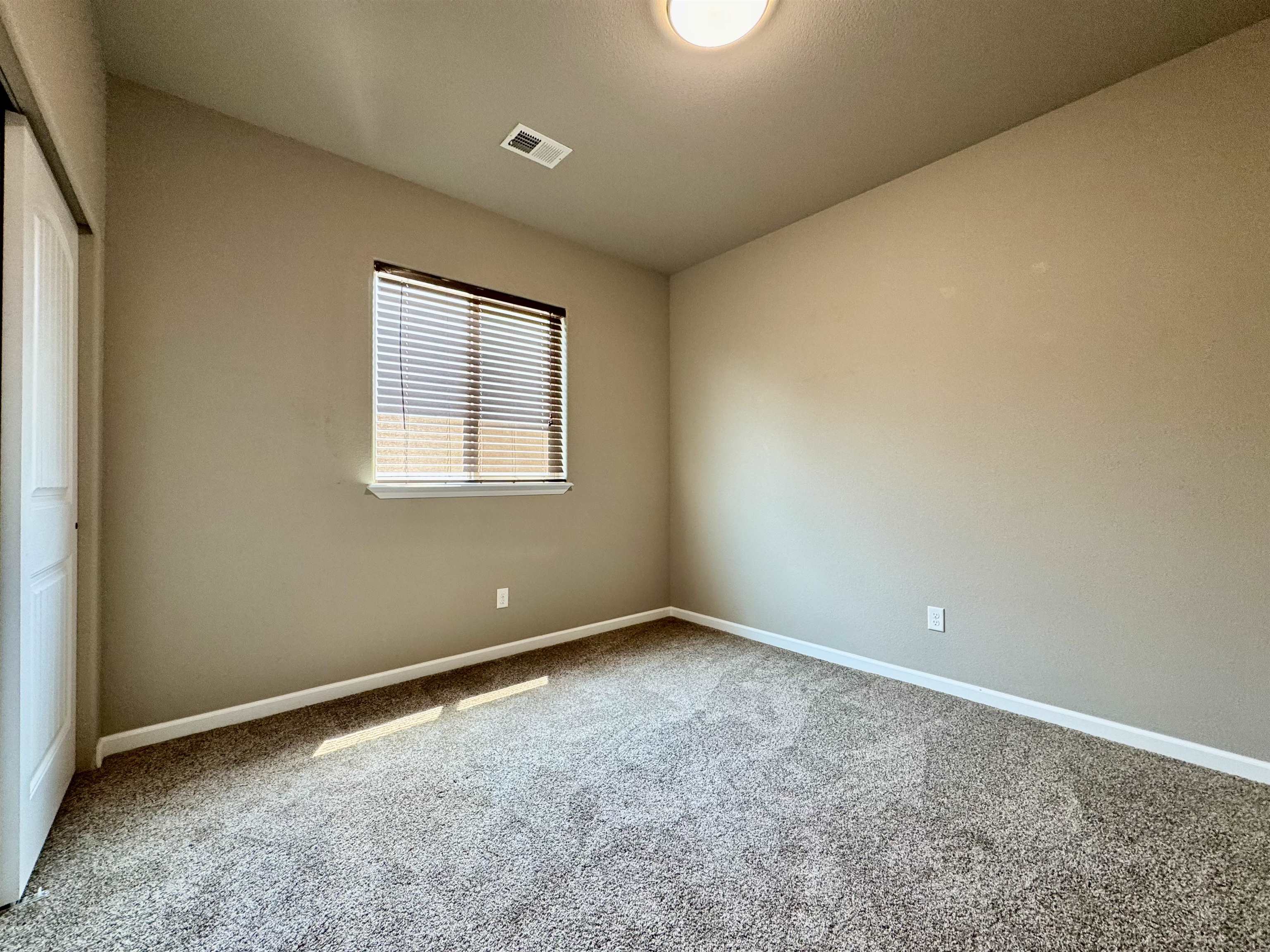 1168 Shady Lane Property Photo 11