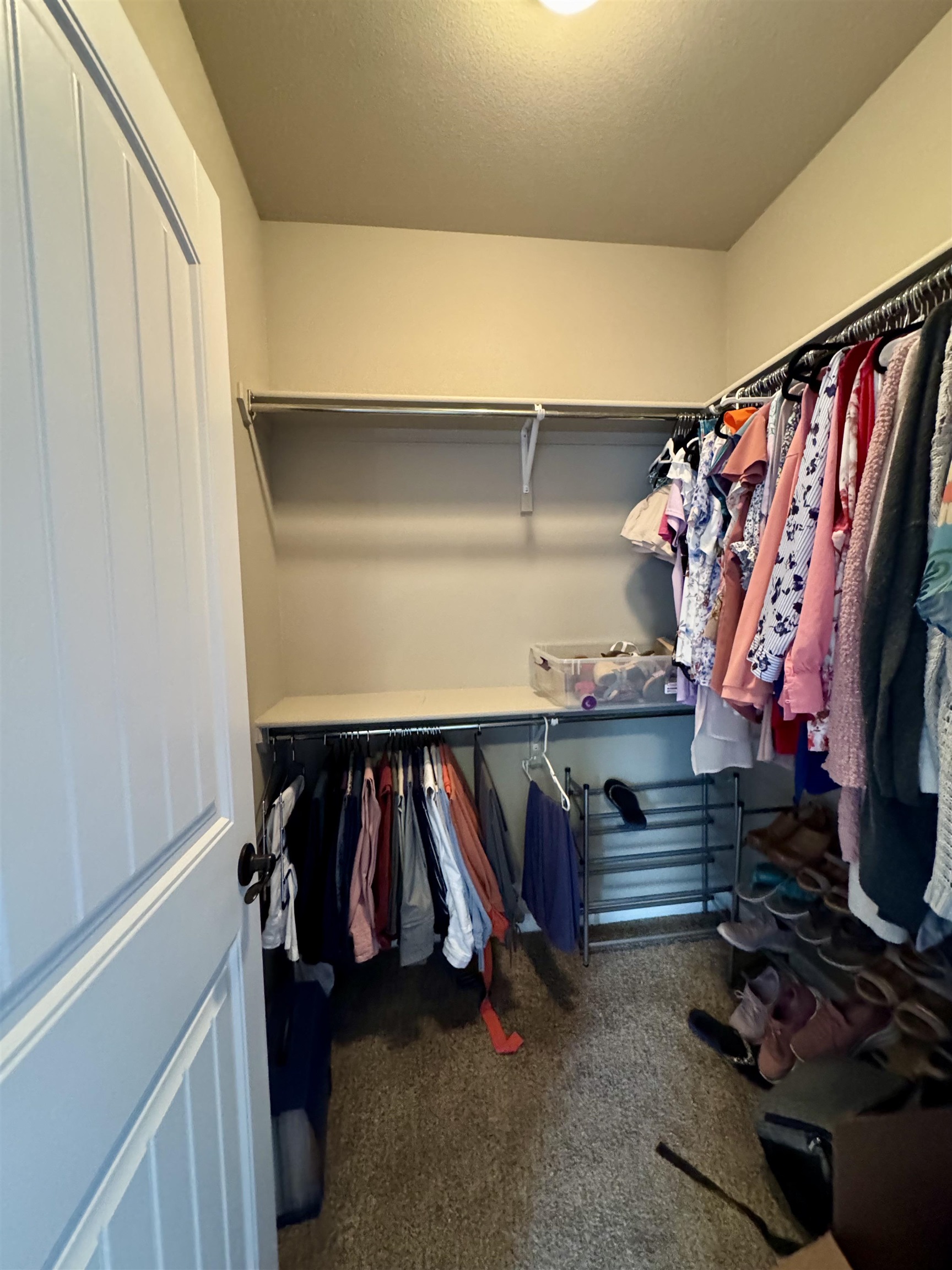 1168 Shady Lane Property Photo 15