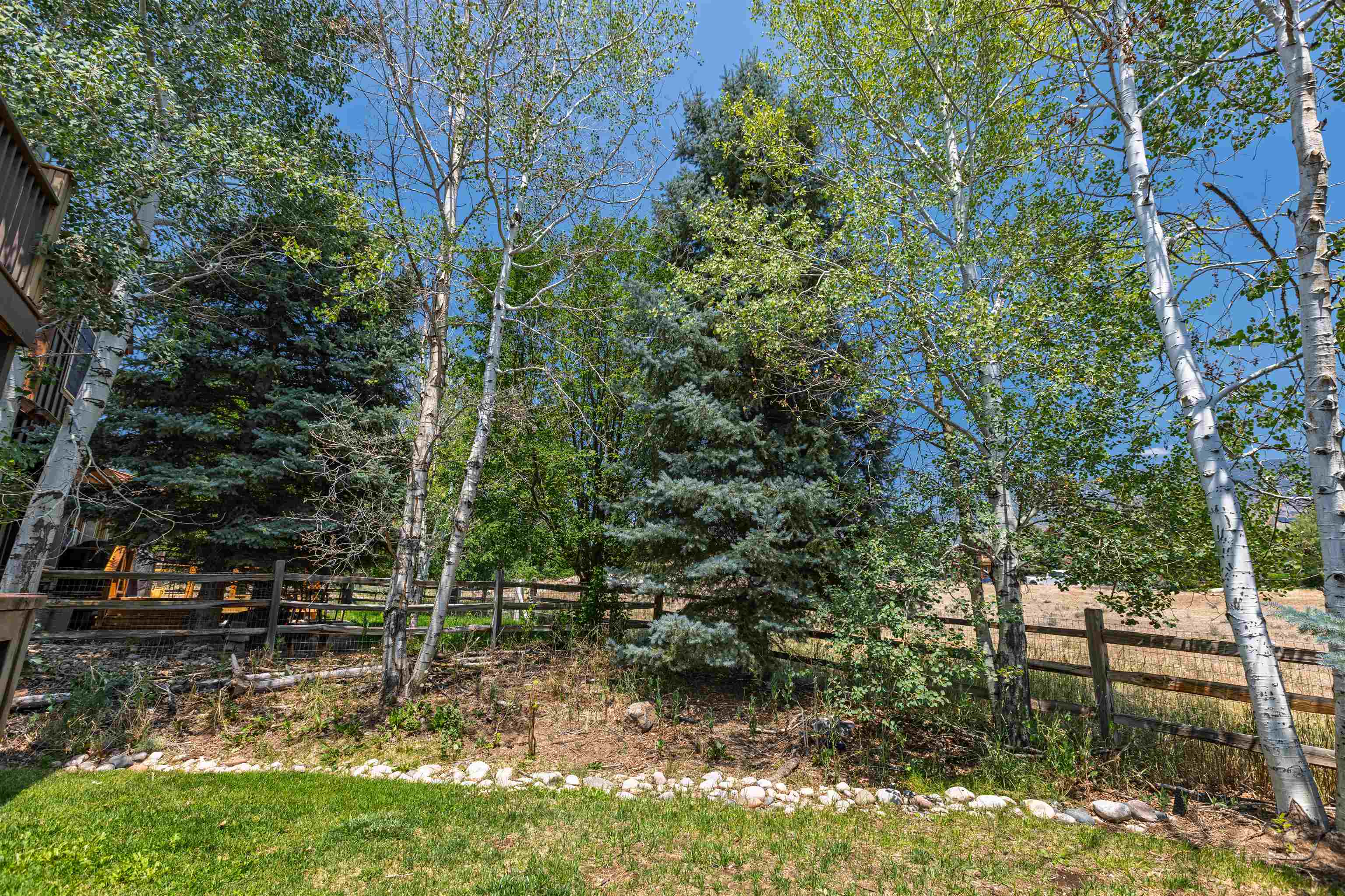 248 Blackhawk Drive Property Photo 39