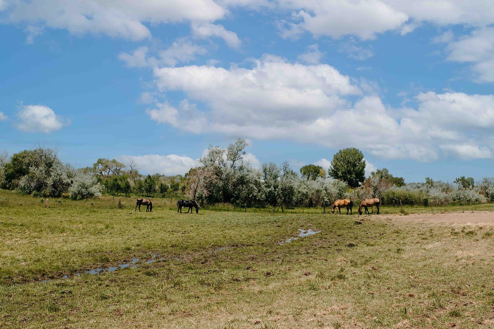 14679 5875 Road Property Photo 37