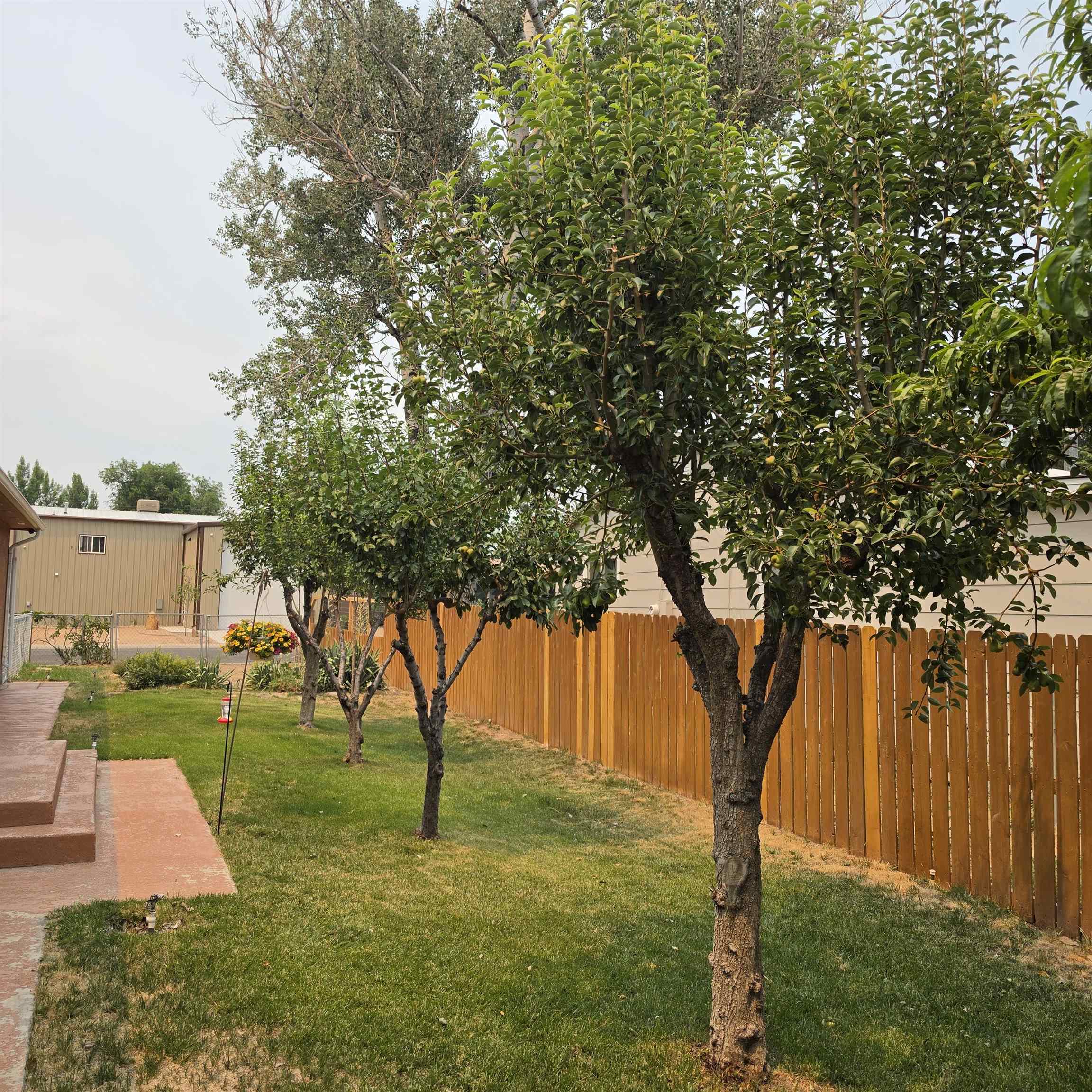 610 E Harrison Avenue Property Photo 25
