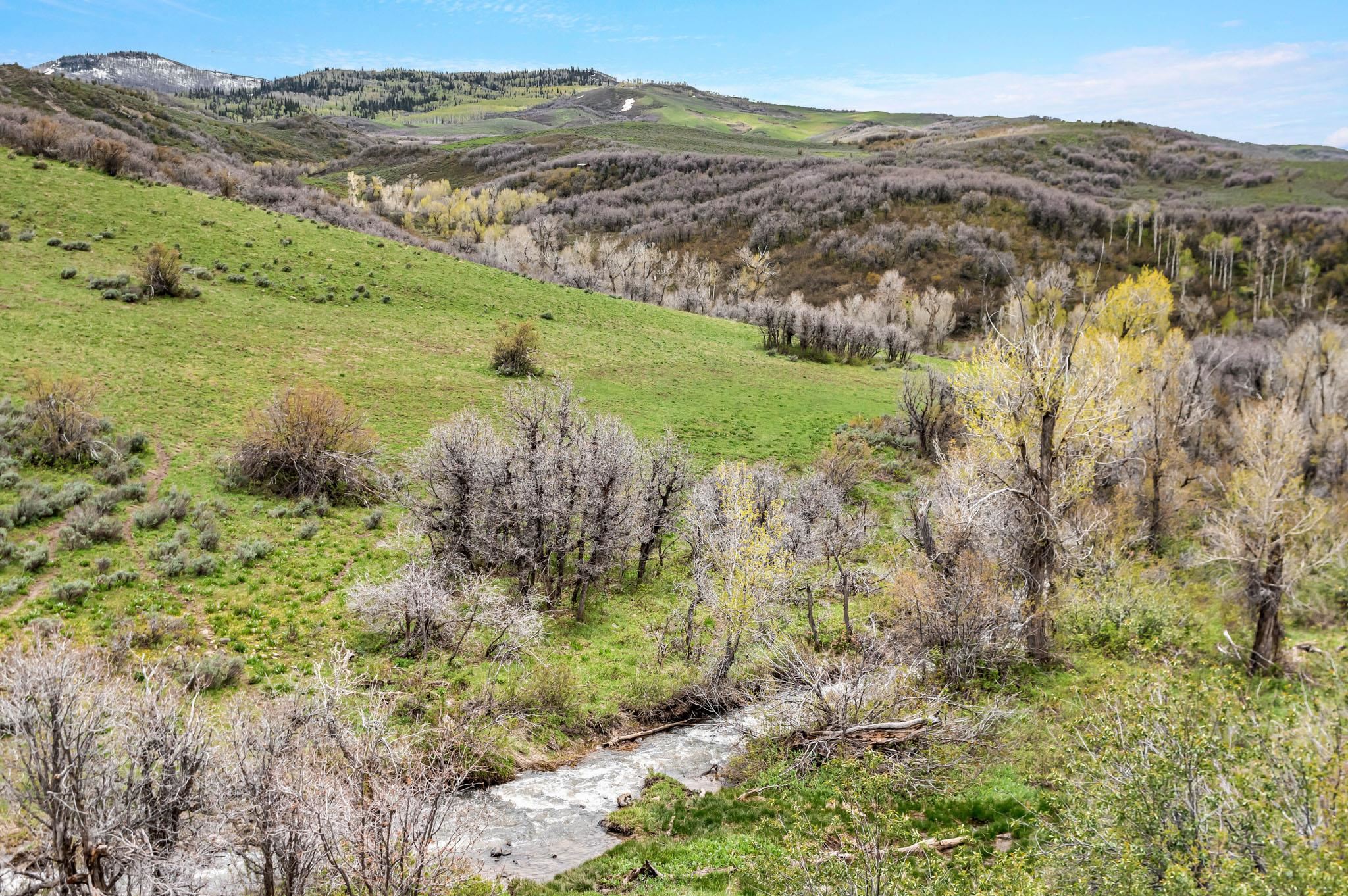 Tbd County Road 80 Property Photo 1