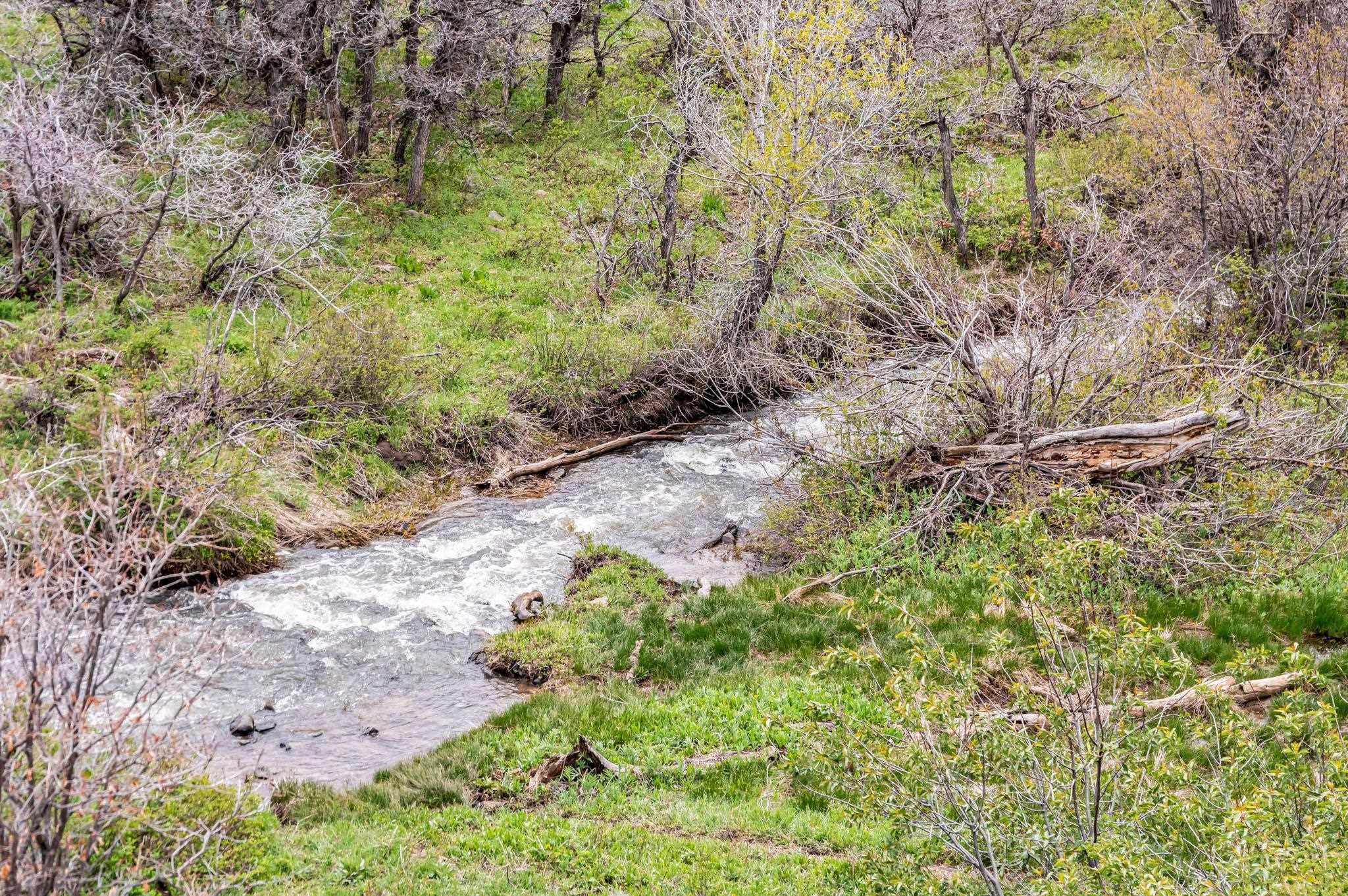 Tbd County Road 80 Property Photo 2