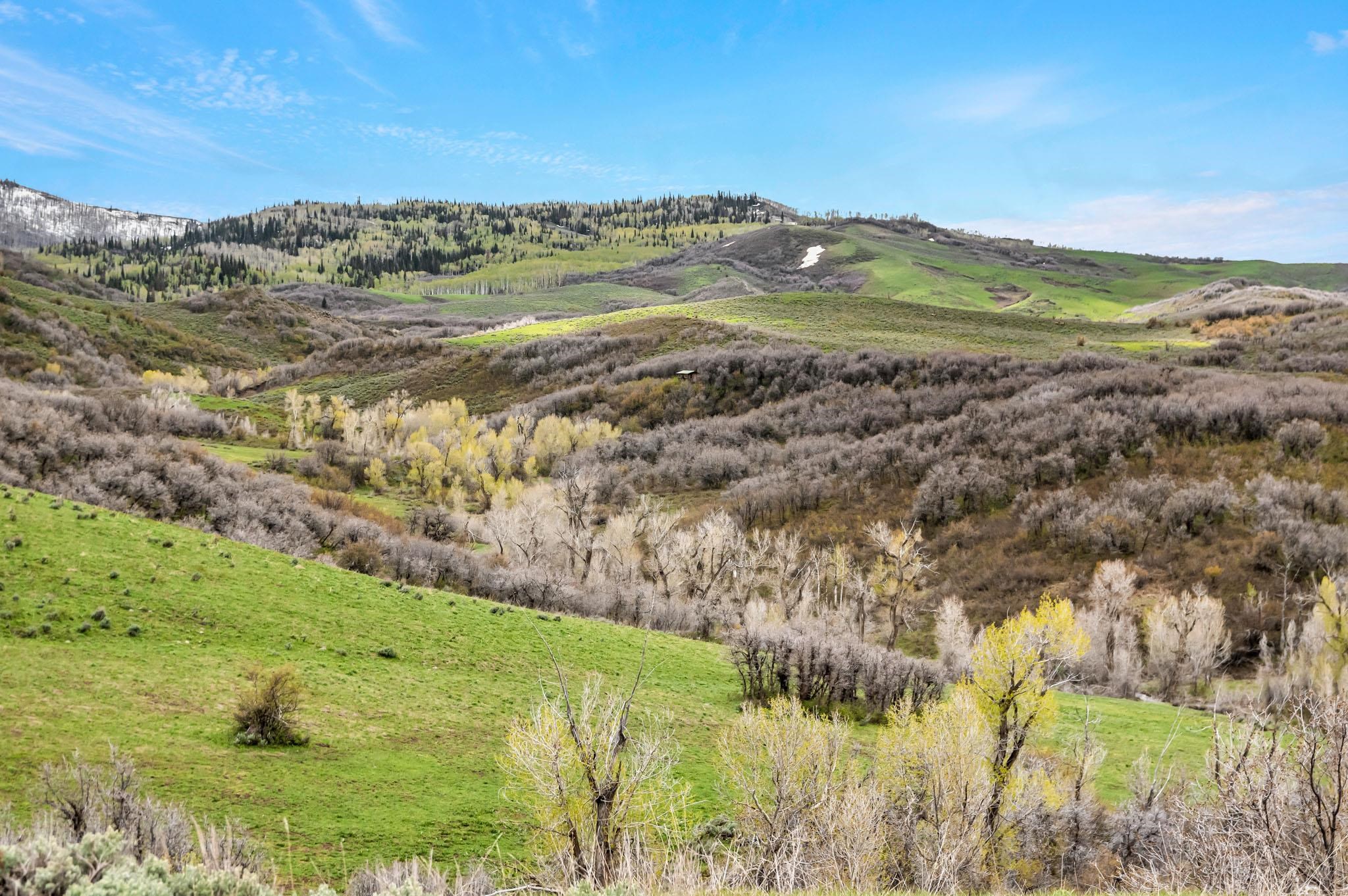 Tbd County Road 80 Property Photo 3