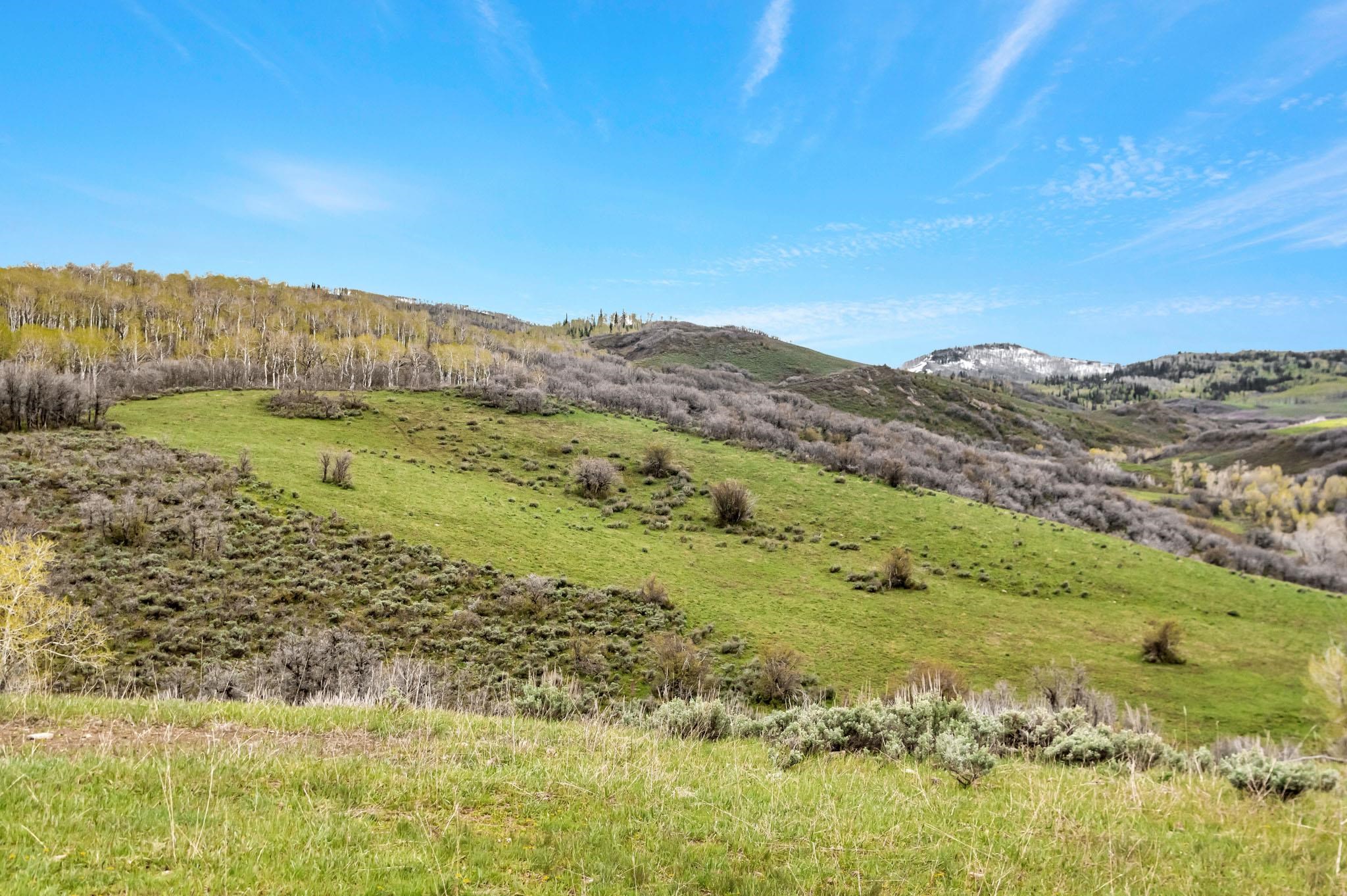 Tbd County Road 80 Property Photo 4