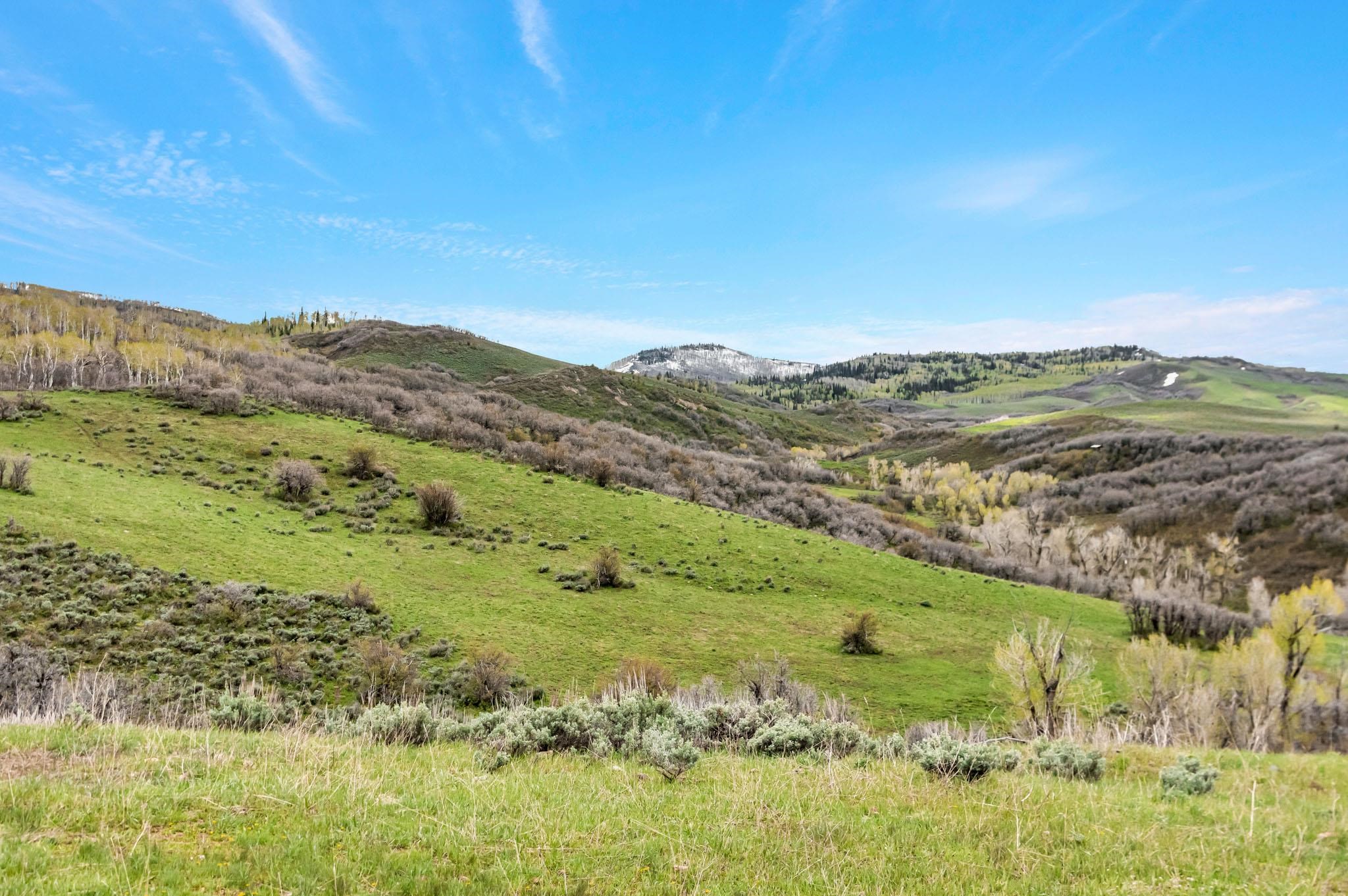 Tbd County Road 80 Property Photo 5