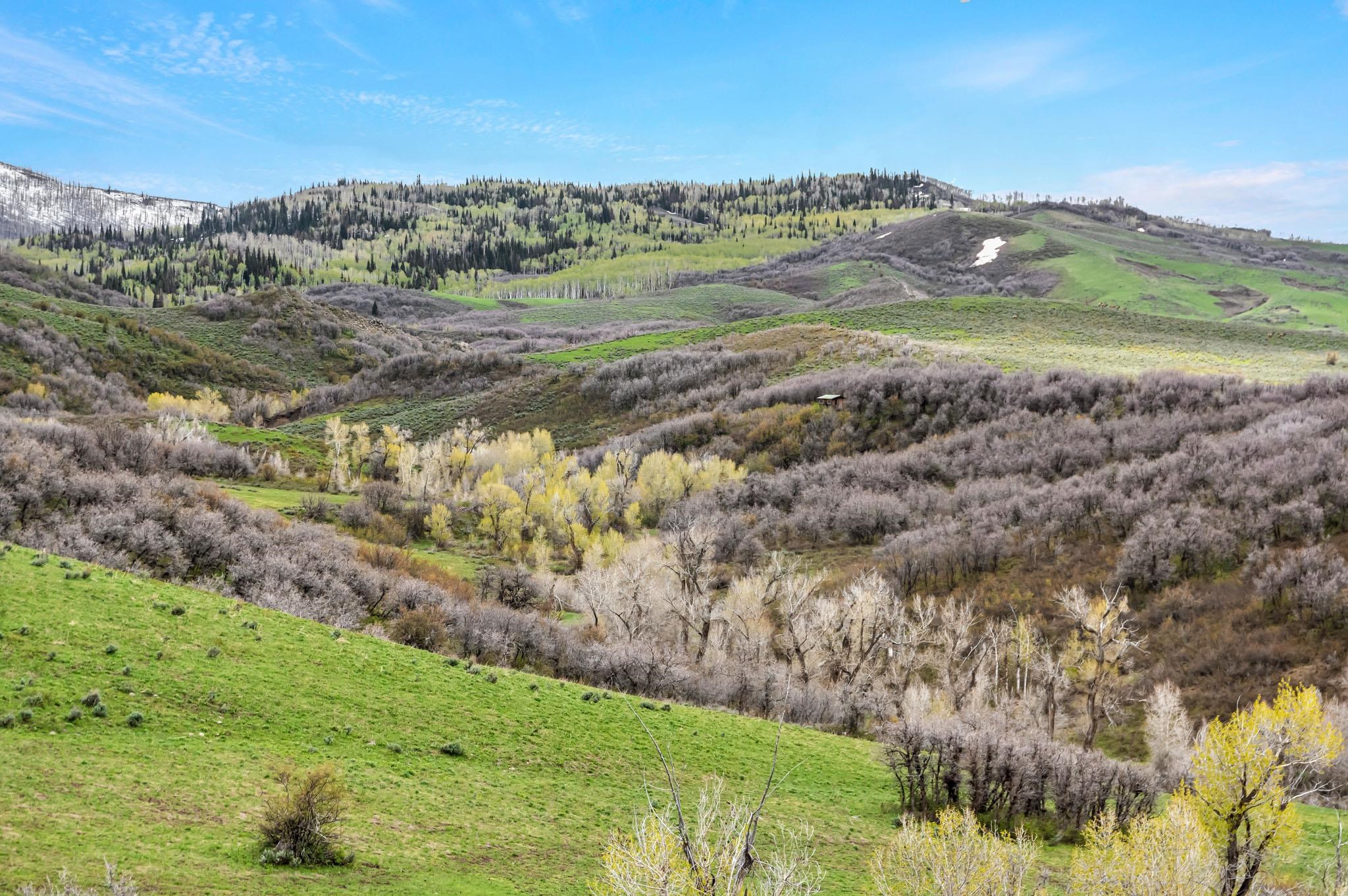 Tbd County Road 80 Property Photo 7