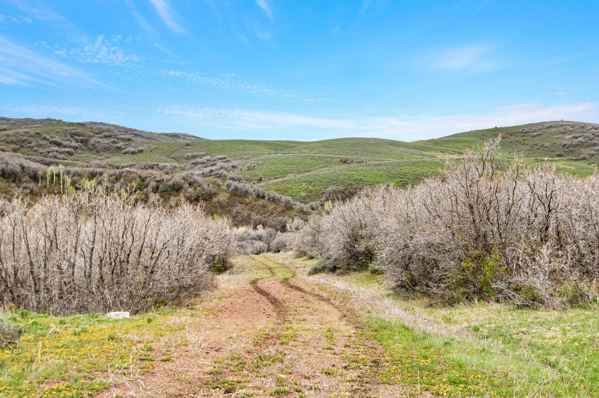 Tbd County Road 80 Property Photo 12