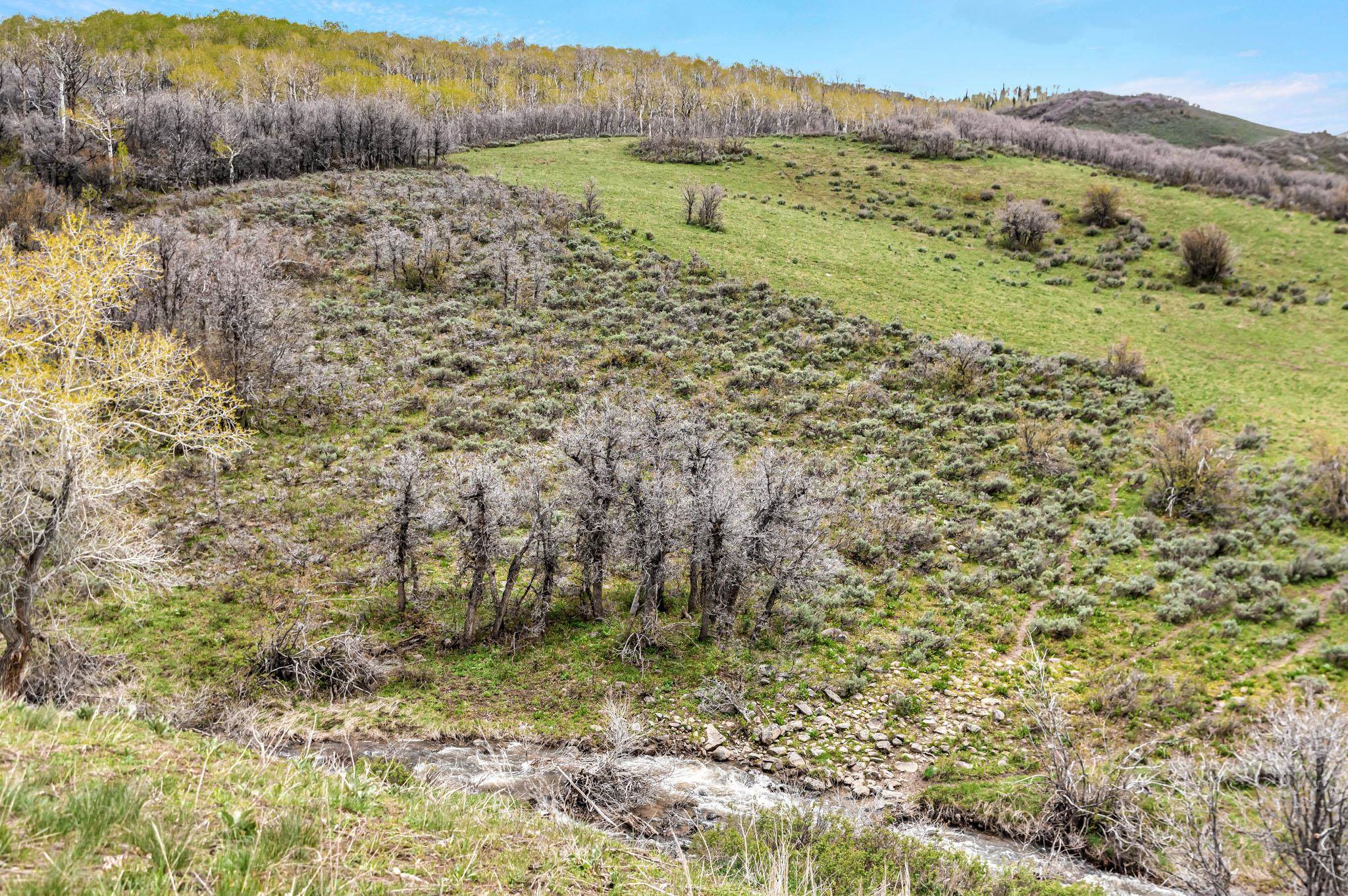 Tbd County Road 80 Property Photo 14
