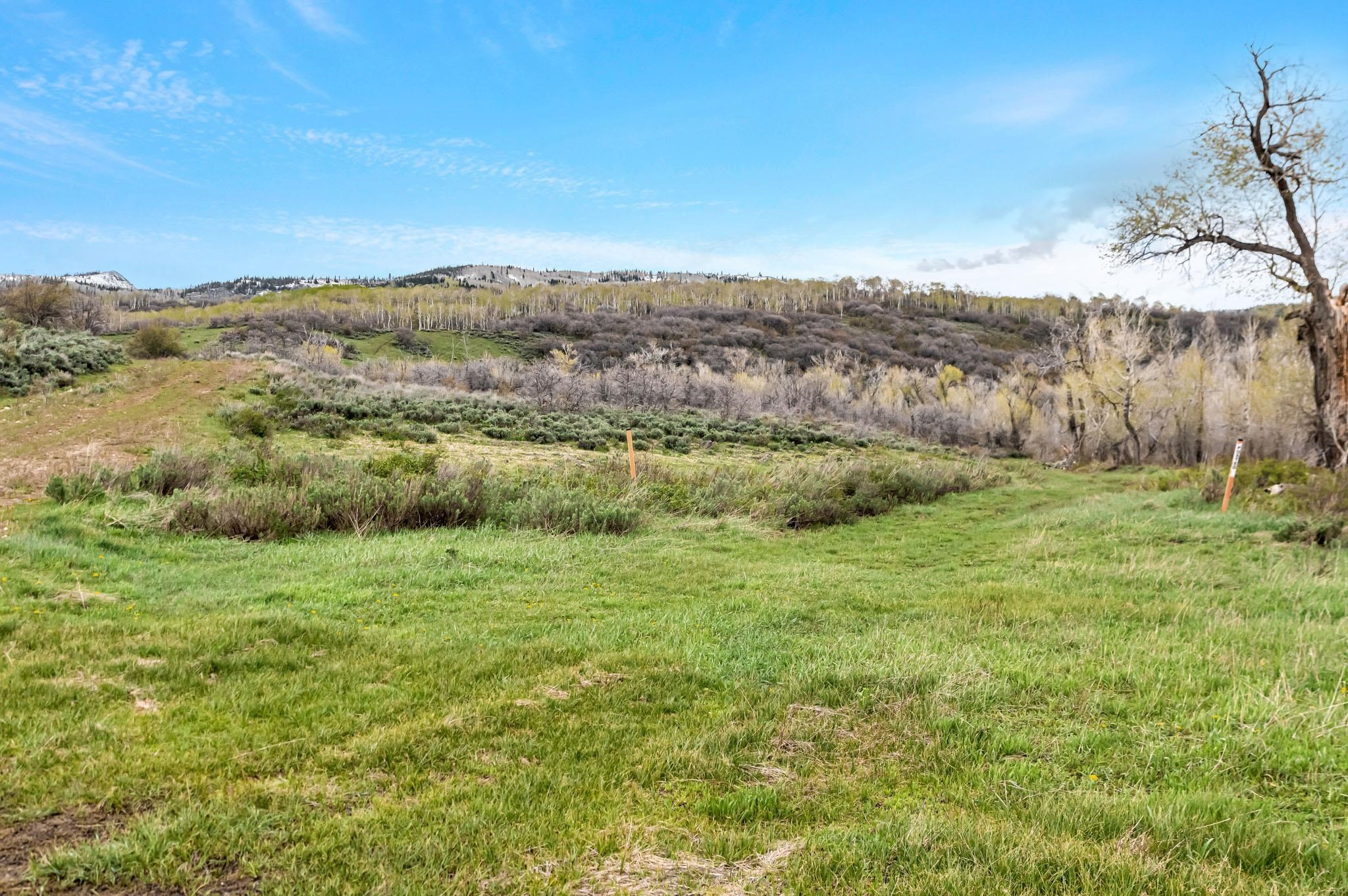 Tbd County Road 80 Property Photo 17
