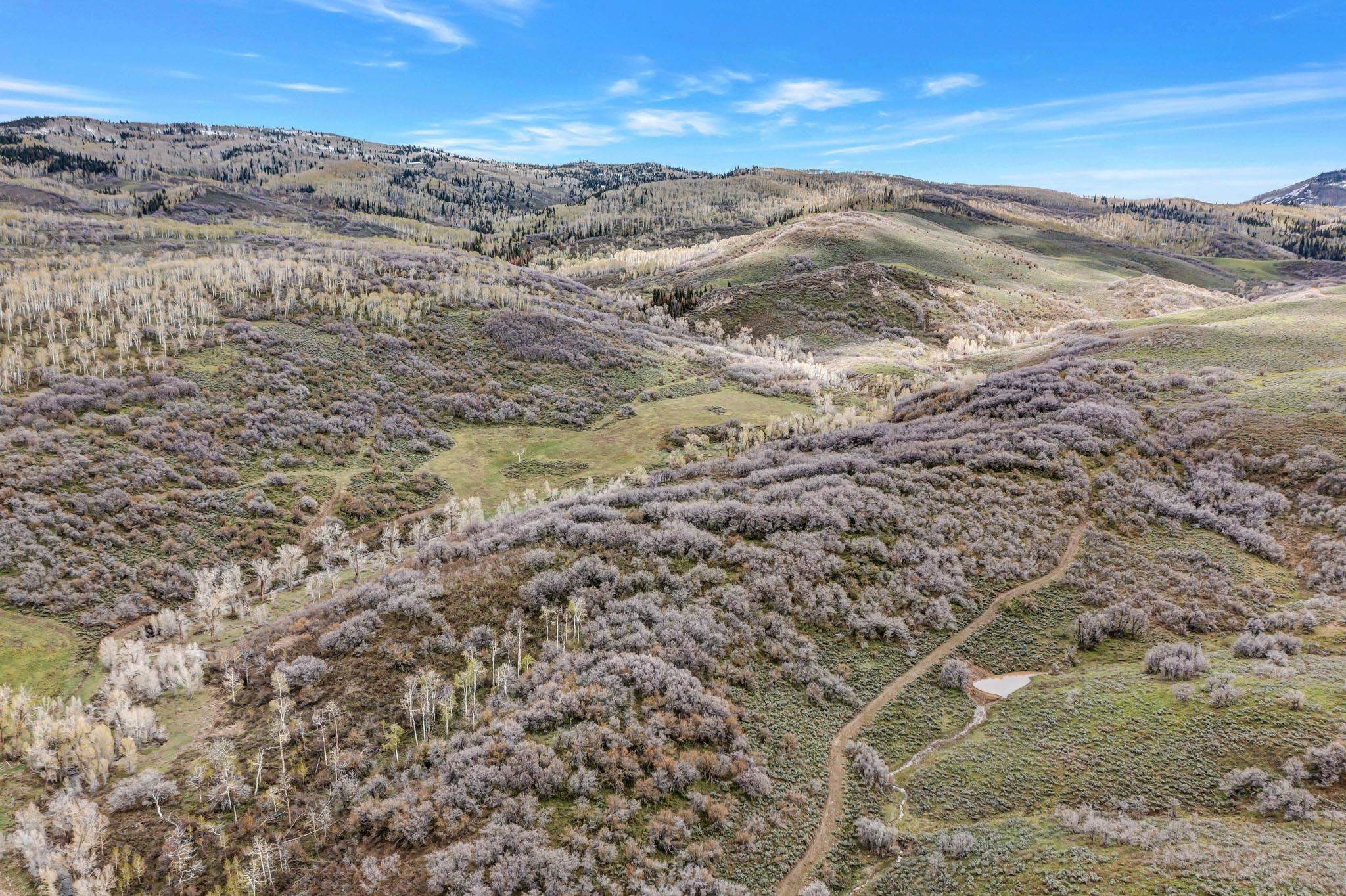 Tbd County Road 80 Property Photo 18