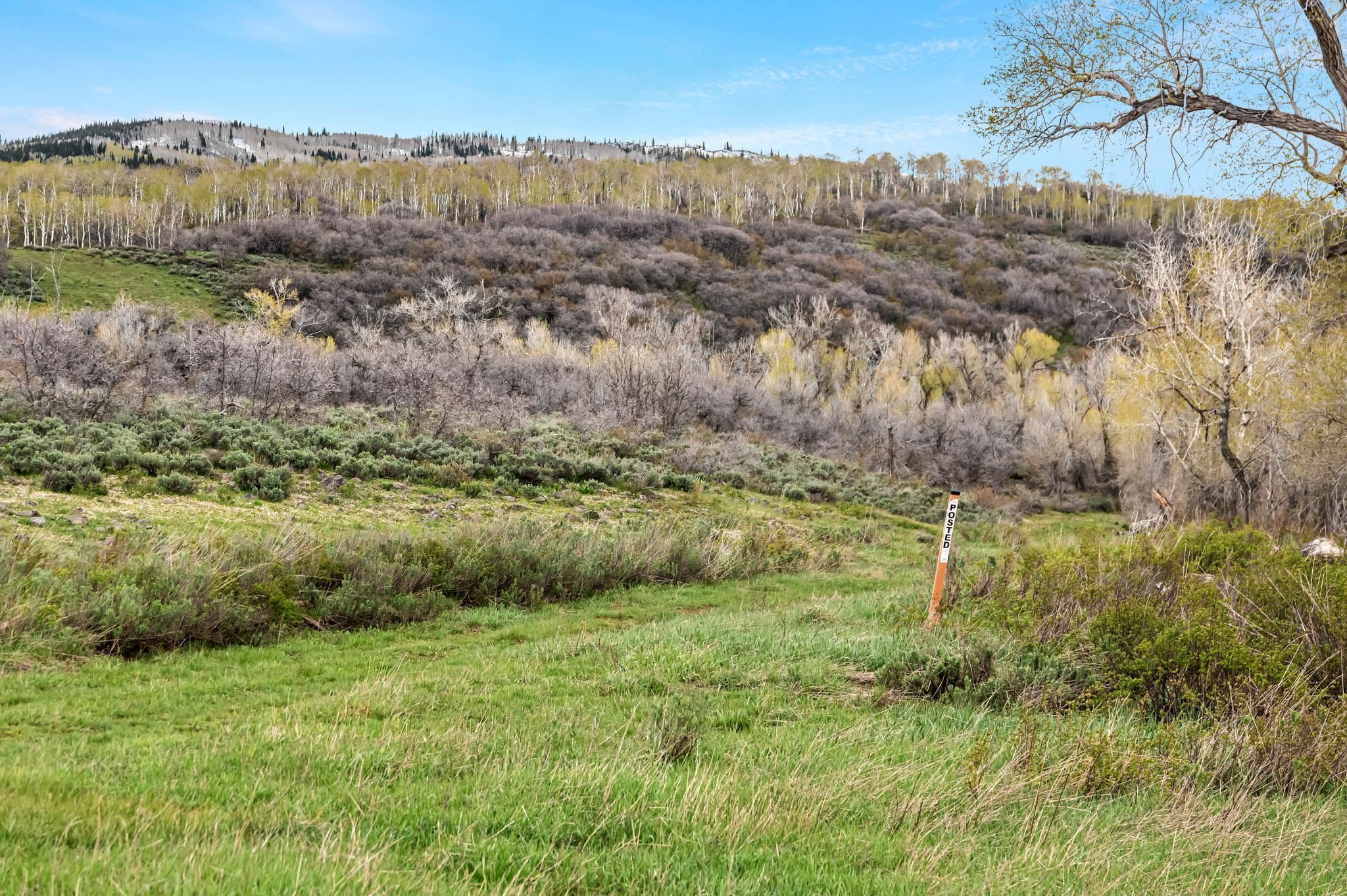 Tbd County Road 80 Property Photo 19
