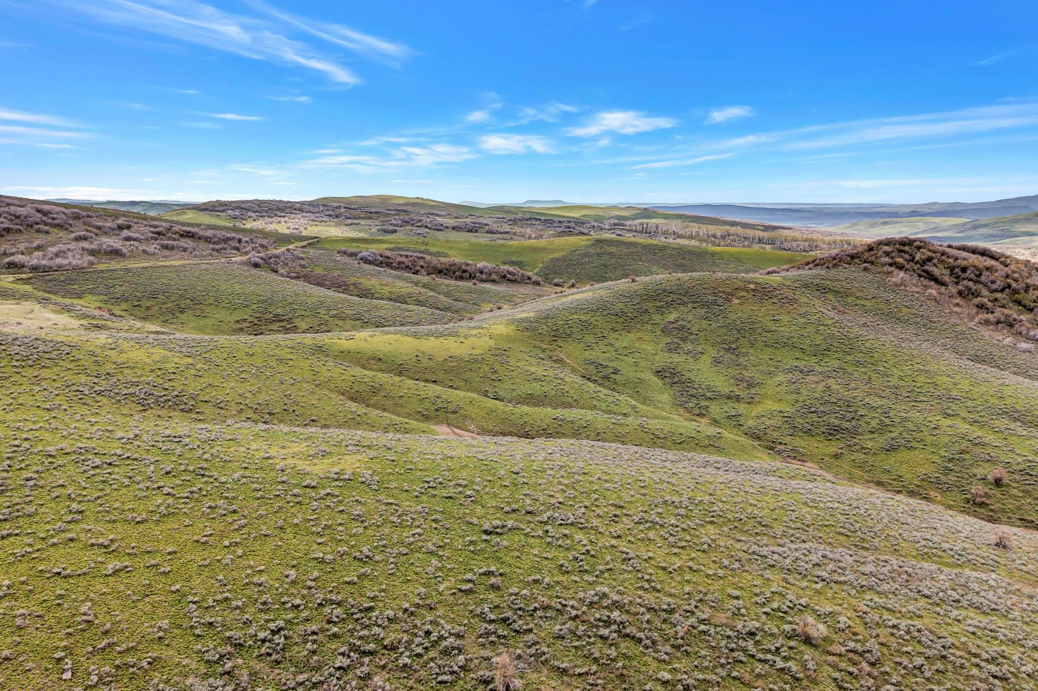 Tbd County Road 80 Property Photo 21