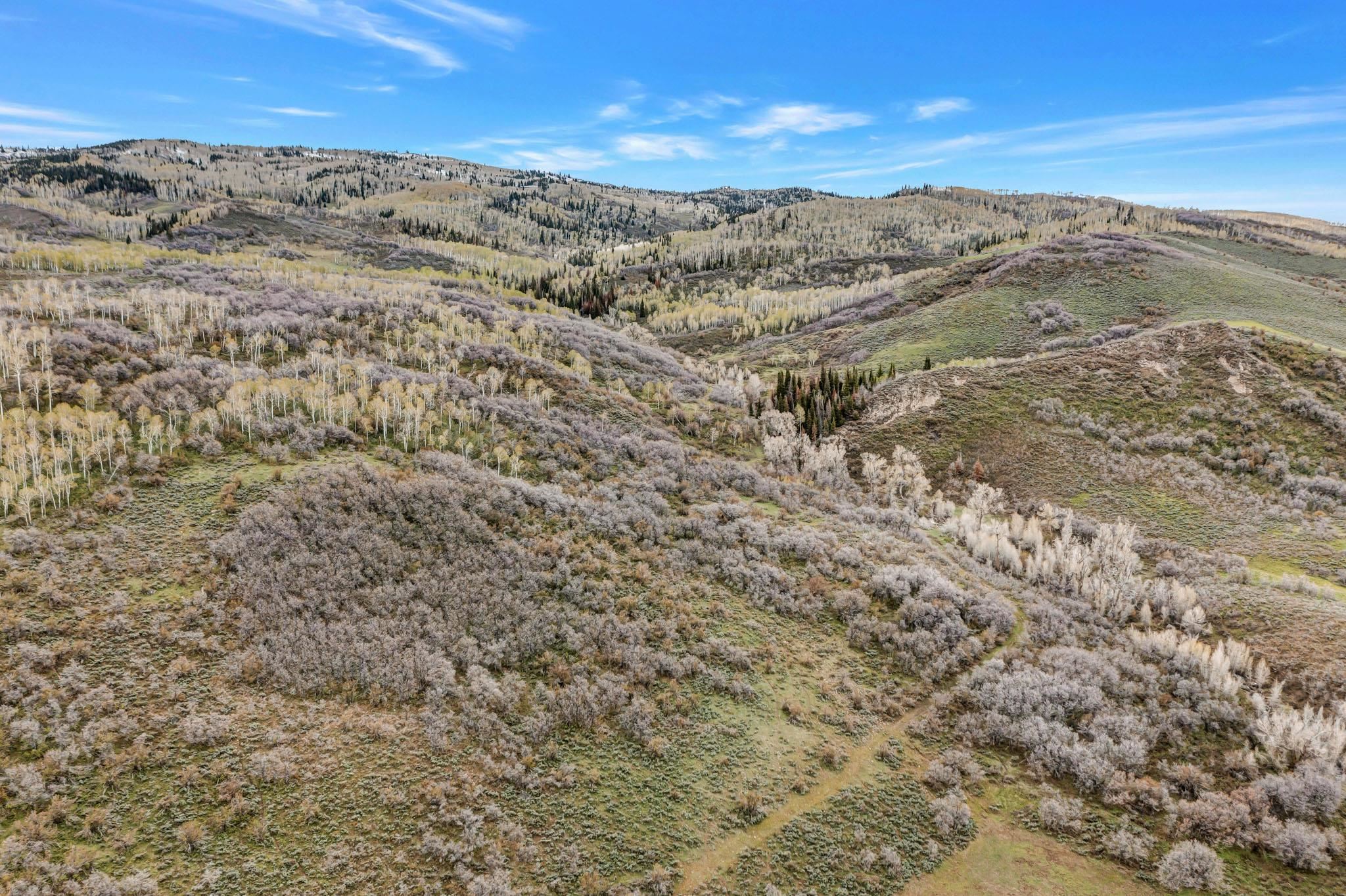 Tbd County Road 80 Property Photo 22