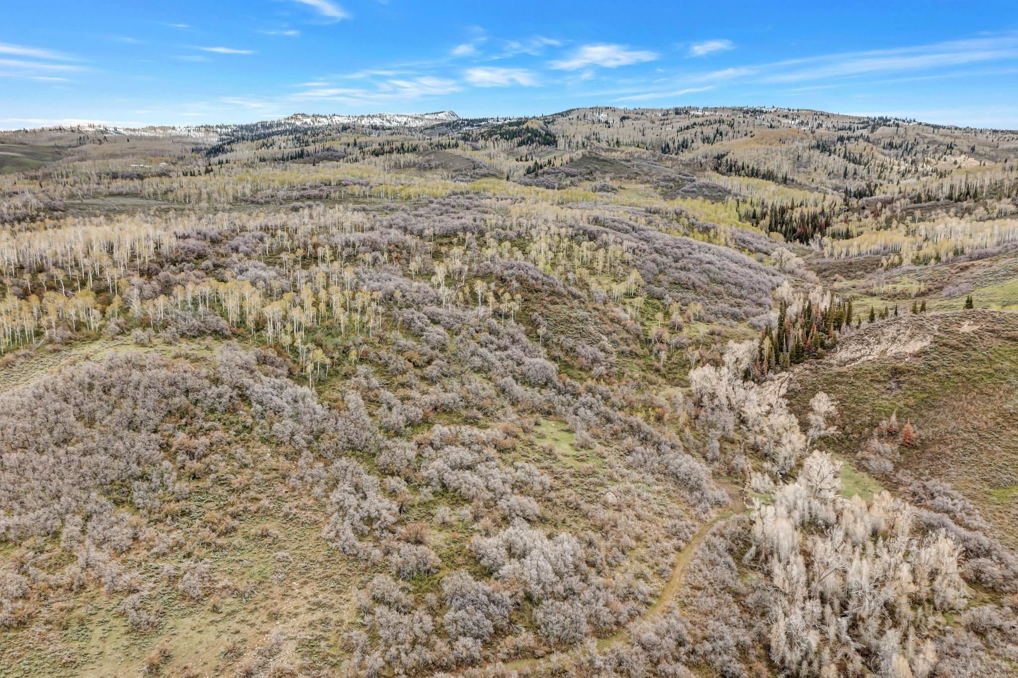 Tbd County Road 80 Property Photo 23