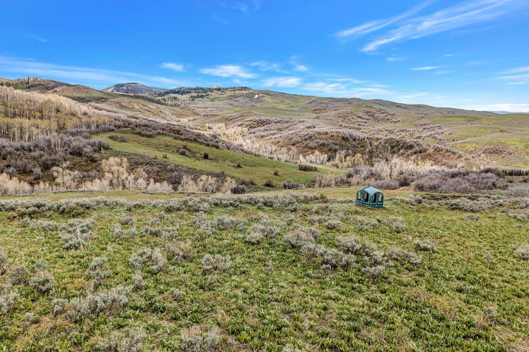 Tbd County Road 80 Property Photo 32